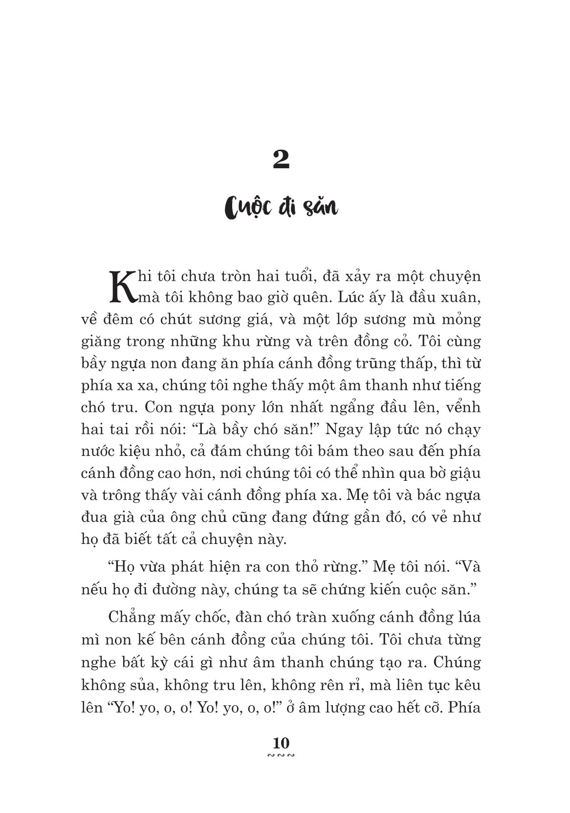 ngựa ô yêu dấu - Ảnh 10