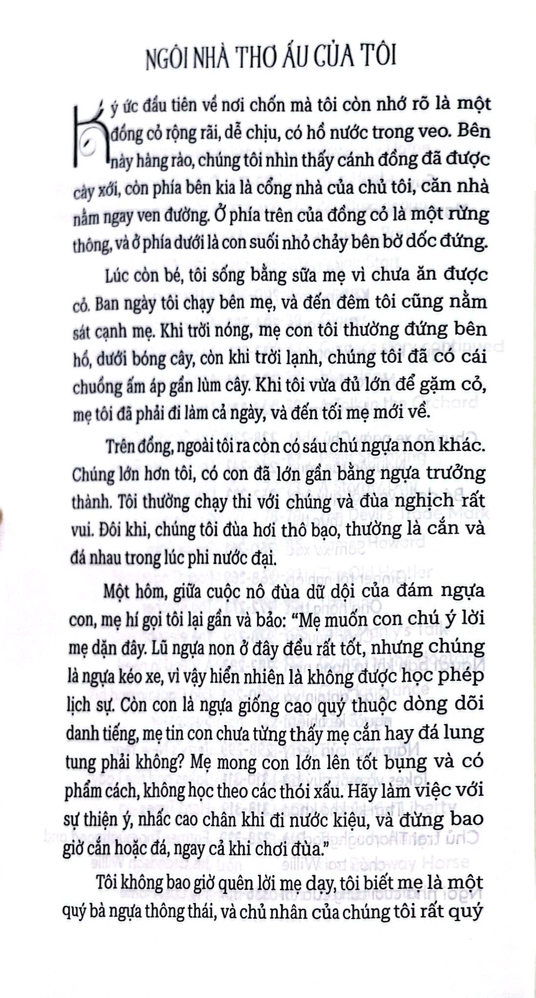 ngựa ô yêu dấu - black beauty - song ngữ việt-anh - Ảnh 4