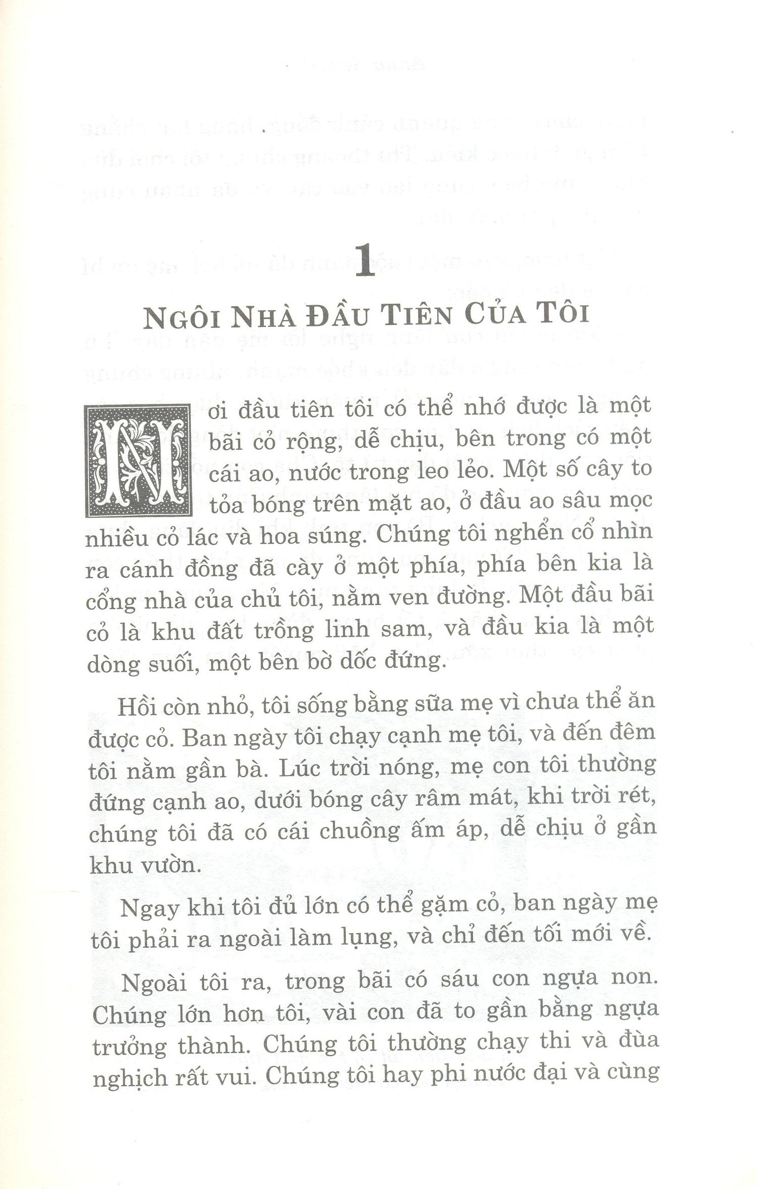 ngựa ô yêu dấu (tái bản 2020) - Ảnh 3