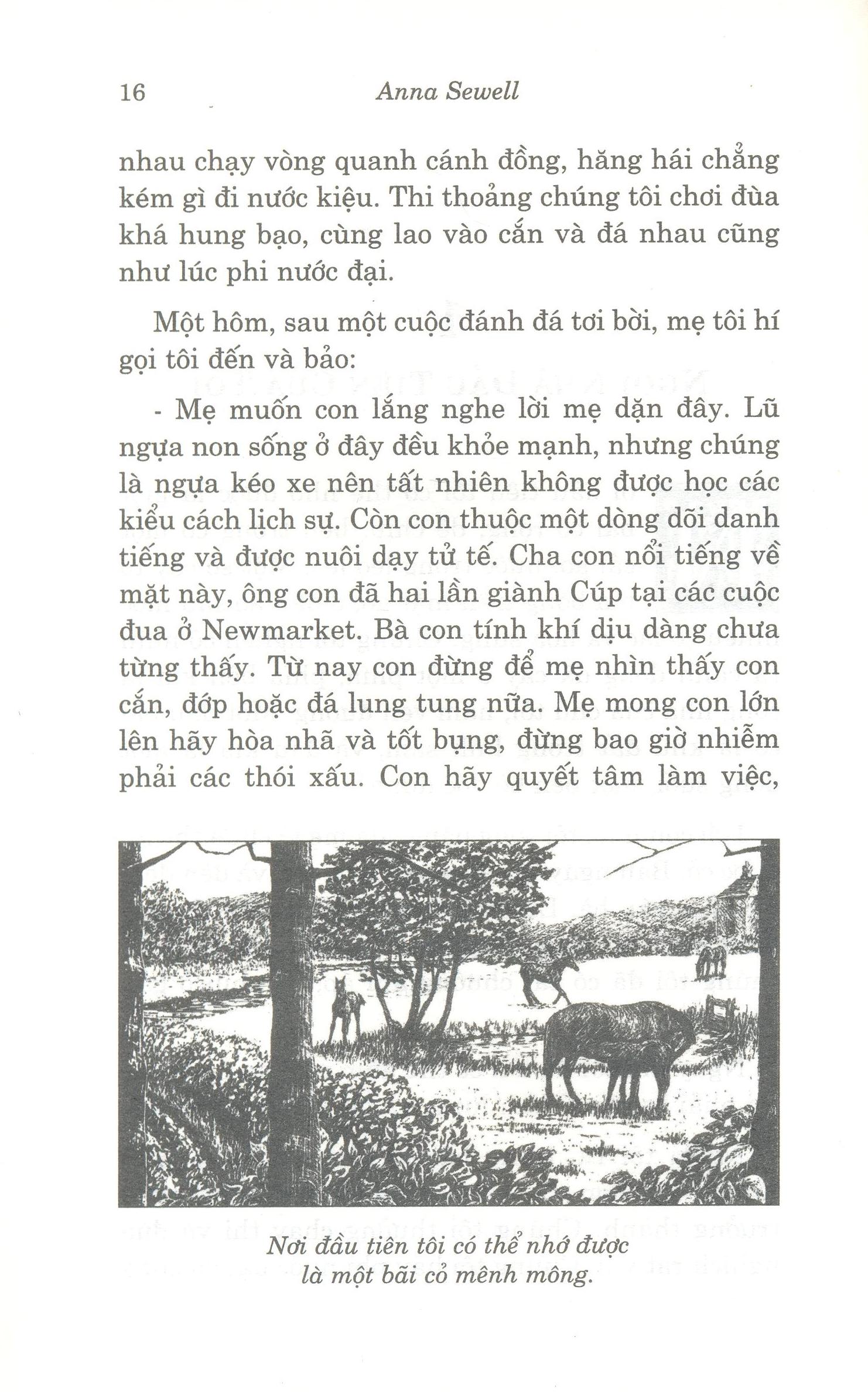 ngựa ô yêu dấu (tái bản 2020) - Ảnh 4