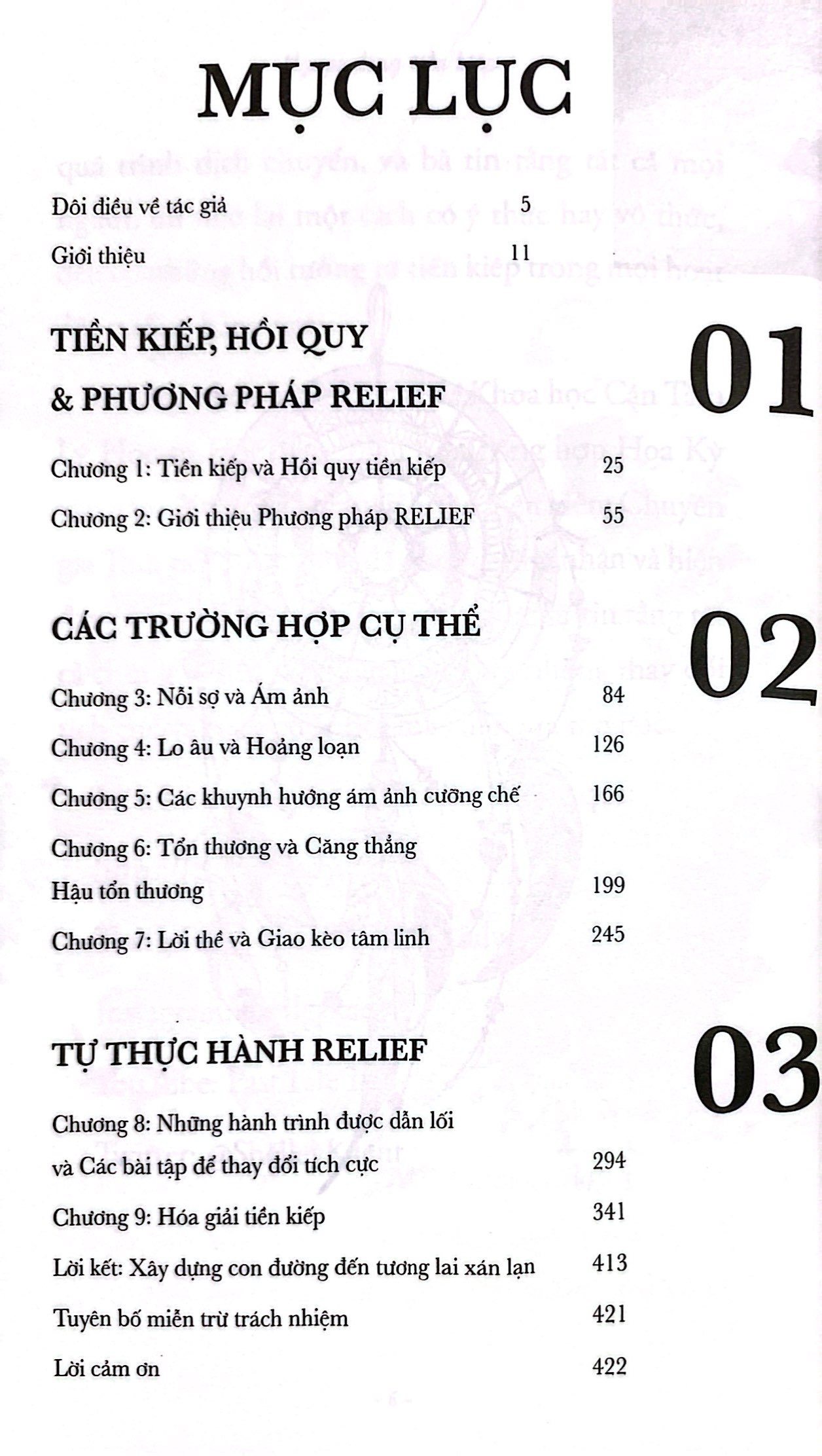 ngược dòng tiền kiếp - Ảnh 5