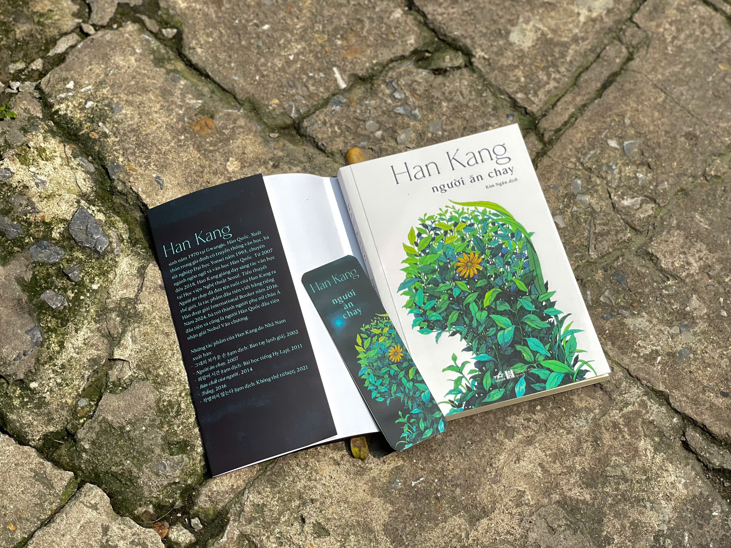 Nguoi An Chay - Ảnh 5