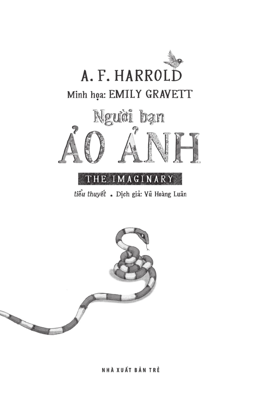 người bạn ảo ảnh - Ảnh 3