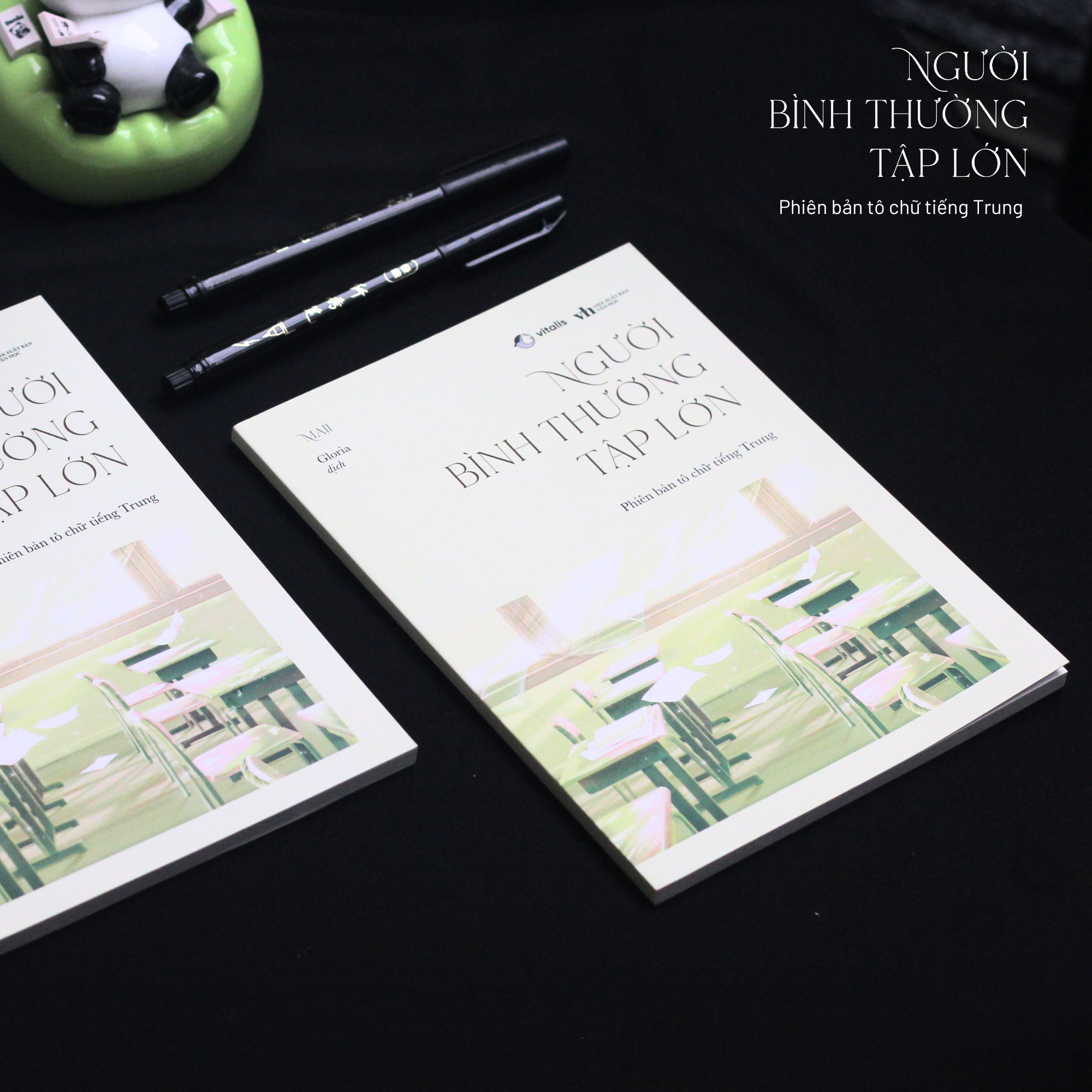 Người Bình Thường Tập Lớn - Phiên Bản Tô Chữ Tiếng Trung - Ảnh 3