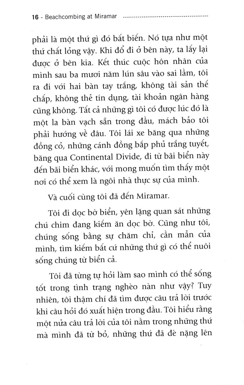 người đi tìm tặng vật của biển (tái bản) - Ảnh 10