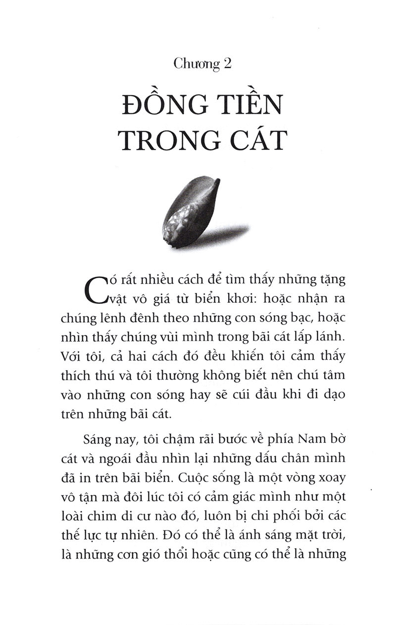 người đi tìm tặng vật của biển (tái bản) - Ảnh 7