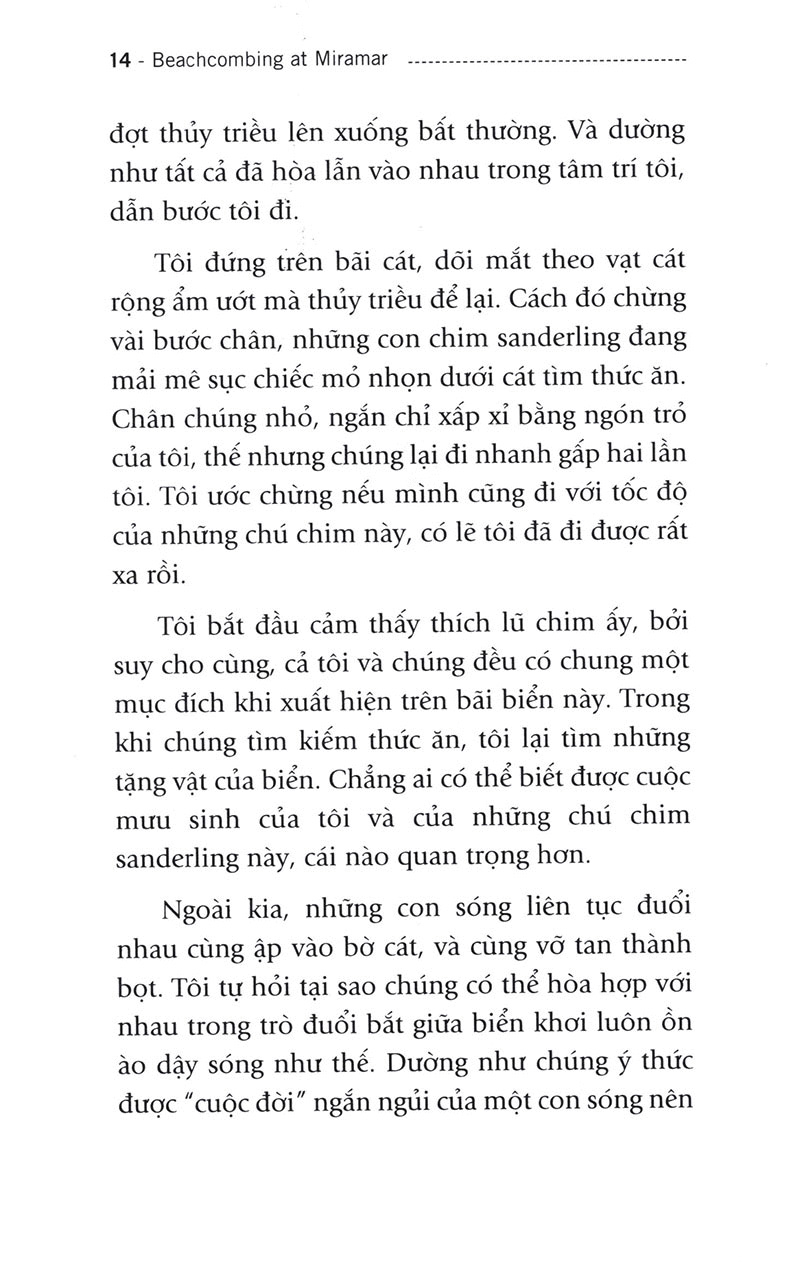 người đi tìm tặng vật của biển (tái bản) - Ảnh 8