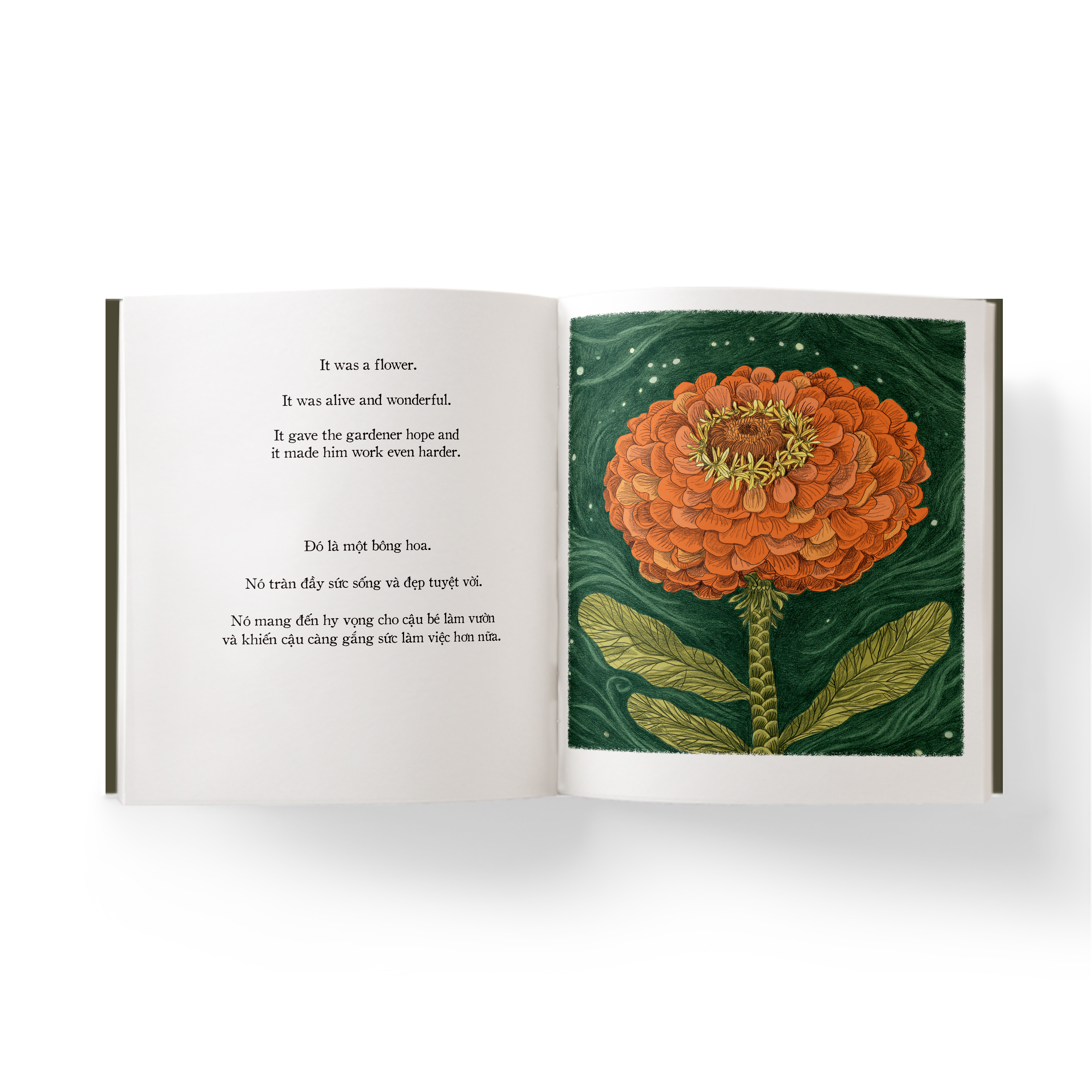 người làm vườn tí hon - the little gardener (song ngữ anh - việt) - Ảnh 3