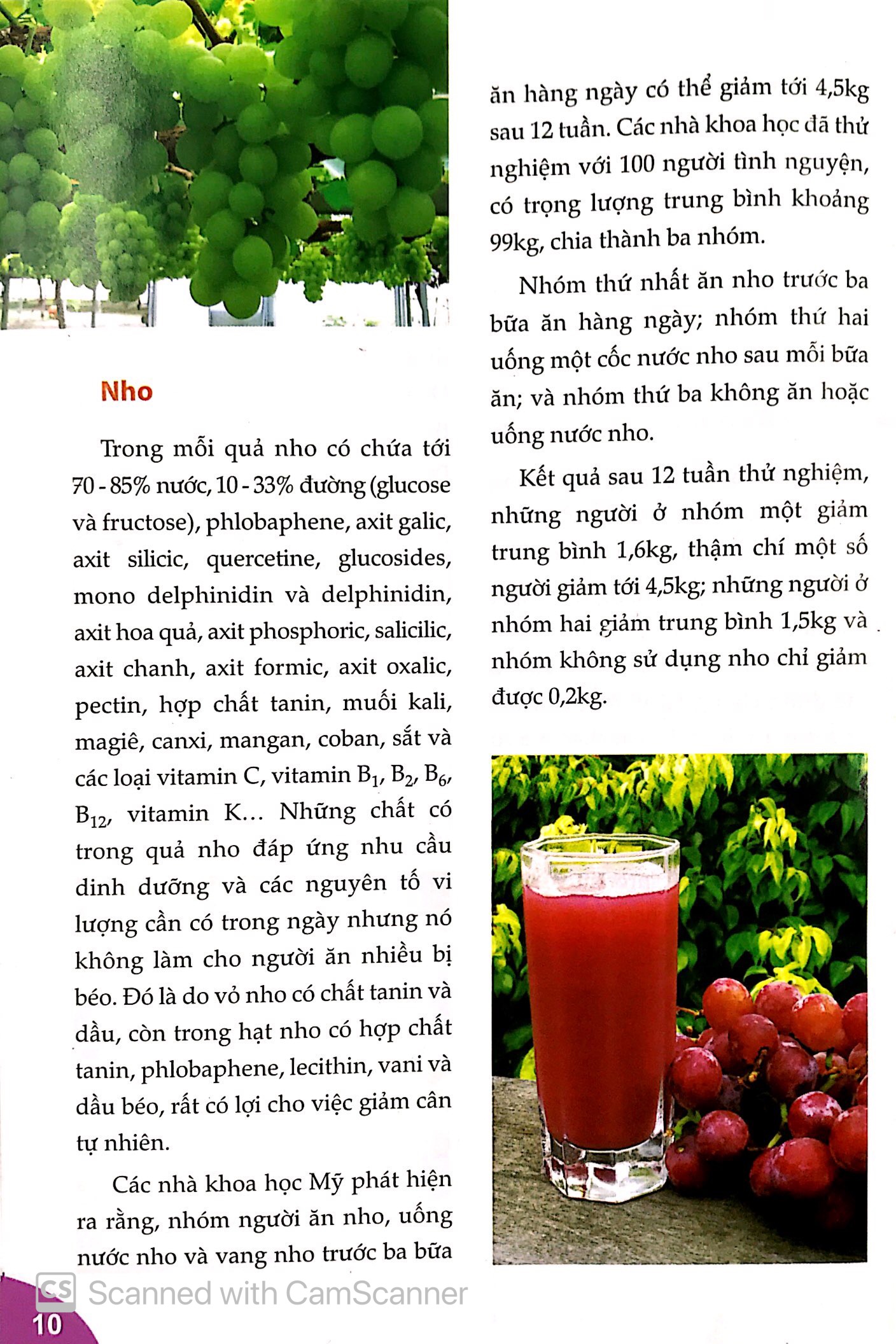 người nội trợ thông minh - món ngon bổ dưỡng cho phái đẹp - Ảnh 10