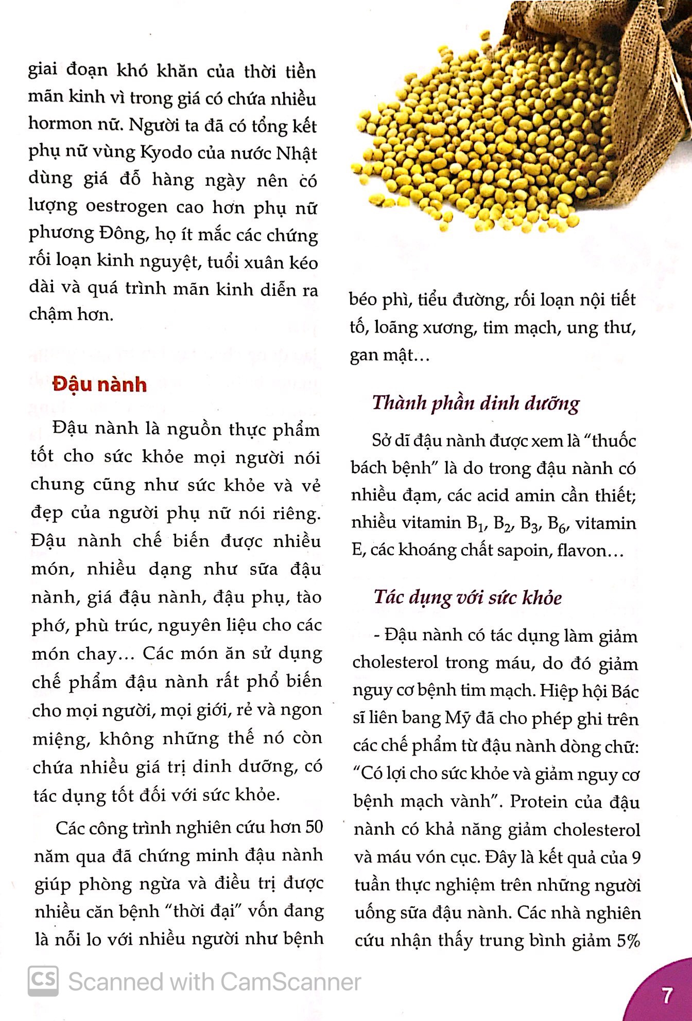 người nội trợ thông minh - món ngon bổ dưỡng cho phái đẹp - Ảnh 7