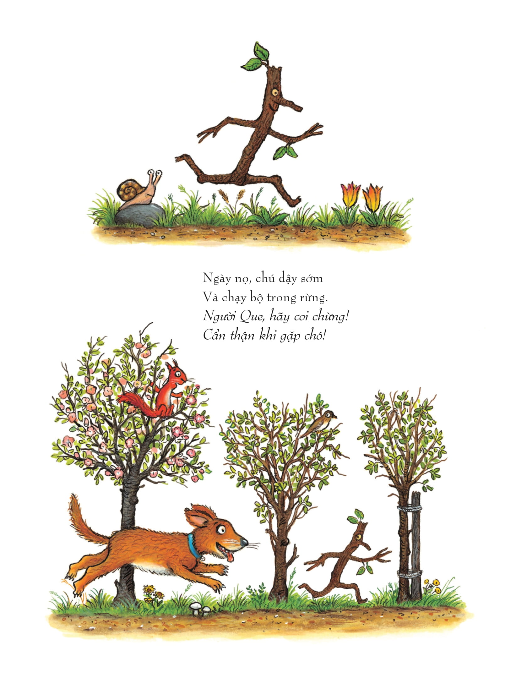 người que - Ảnh 5