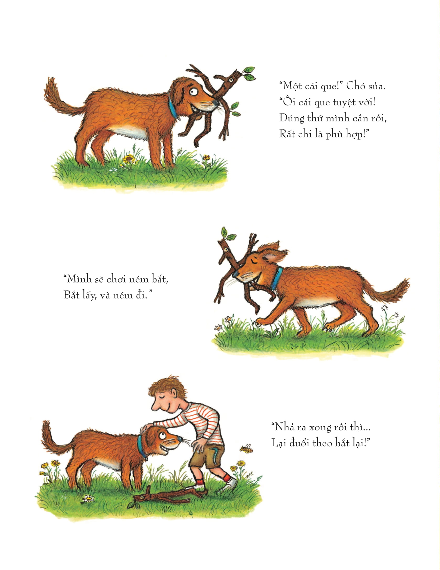 người que - Ảnh 6