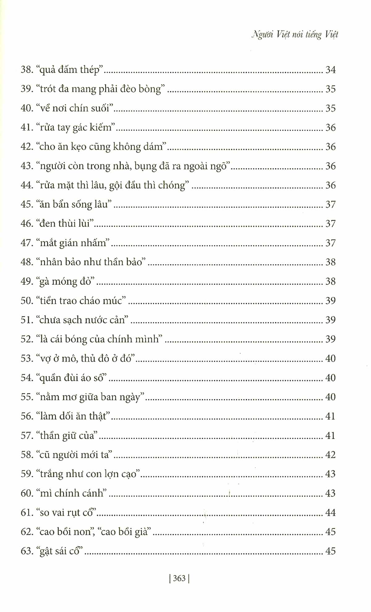 người việt nói tiếng việt - Ảnh 5