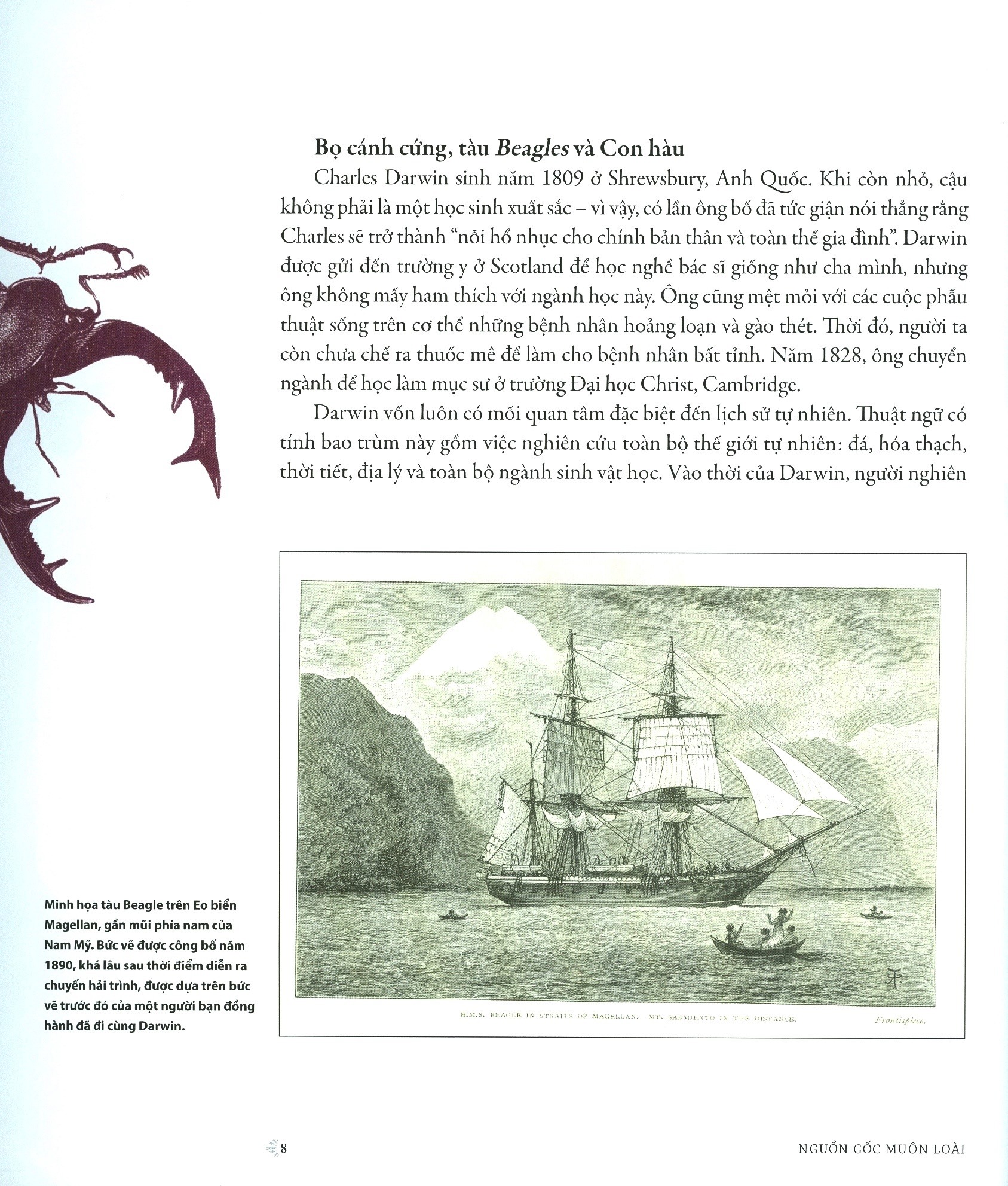 Nguồn Gốc Muôn Loài - Phiên Bản Dành Cho Giới Trẻ - Bìa Cứng (Tái Bản 2025) - Ảnh 4