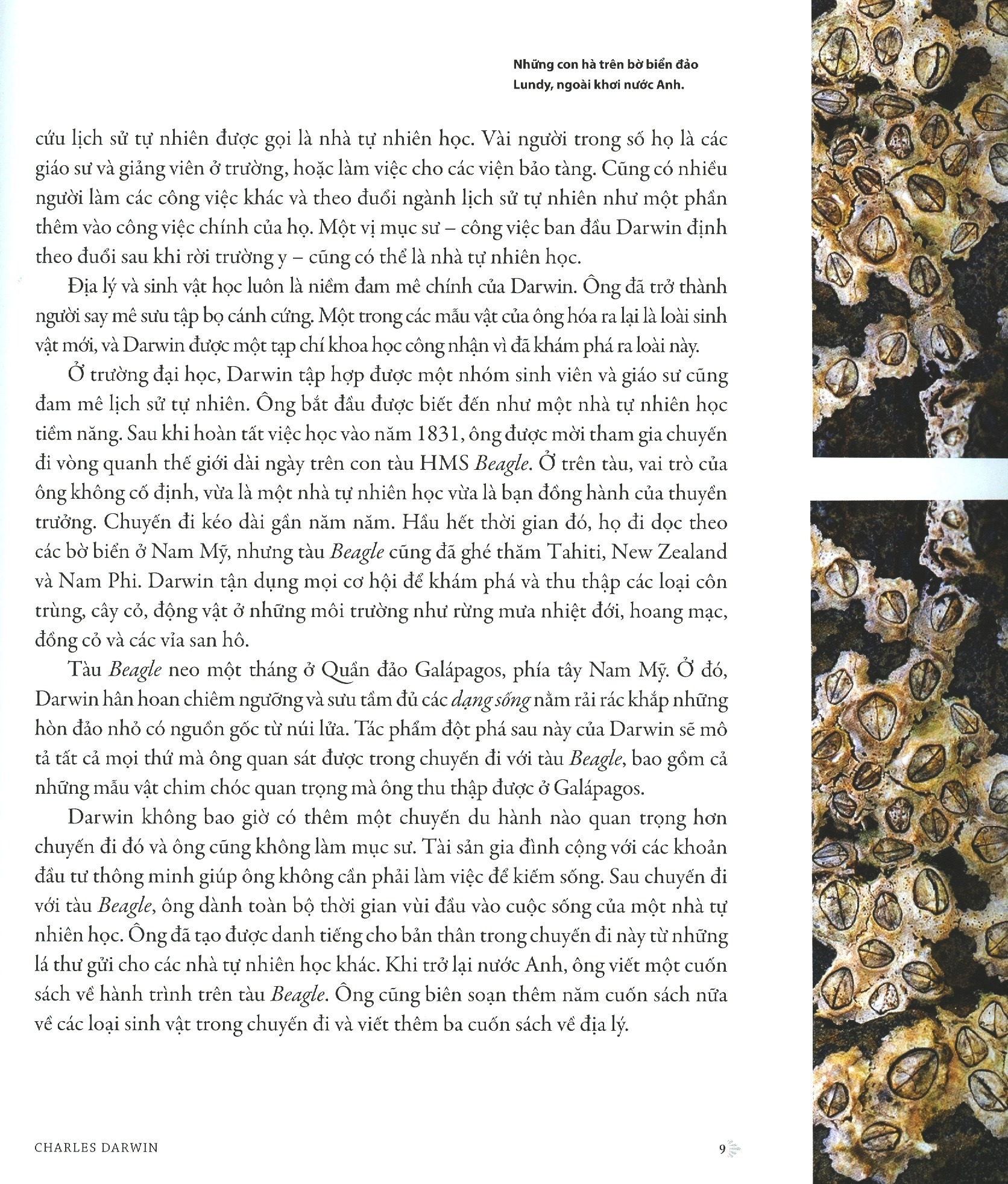 Nguồn Gốc Muôn Loài - Phiên Bản Dành Cho Giới Trẻ - Bìa Cứng (Tái Bản 2025) - Ảnh 5