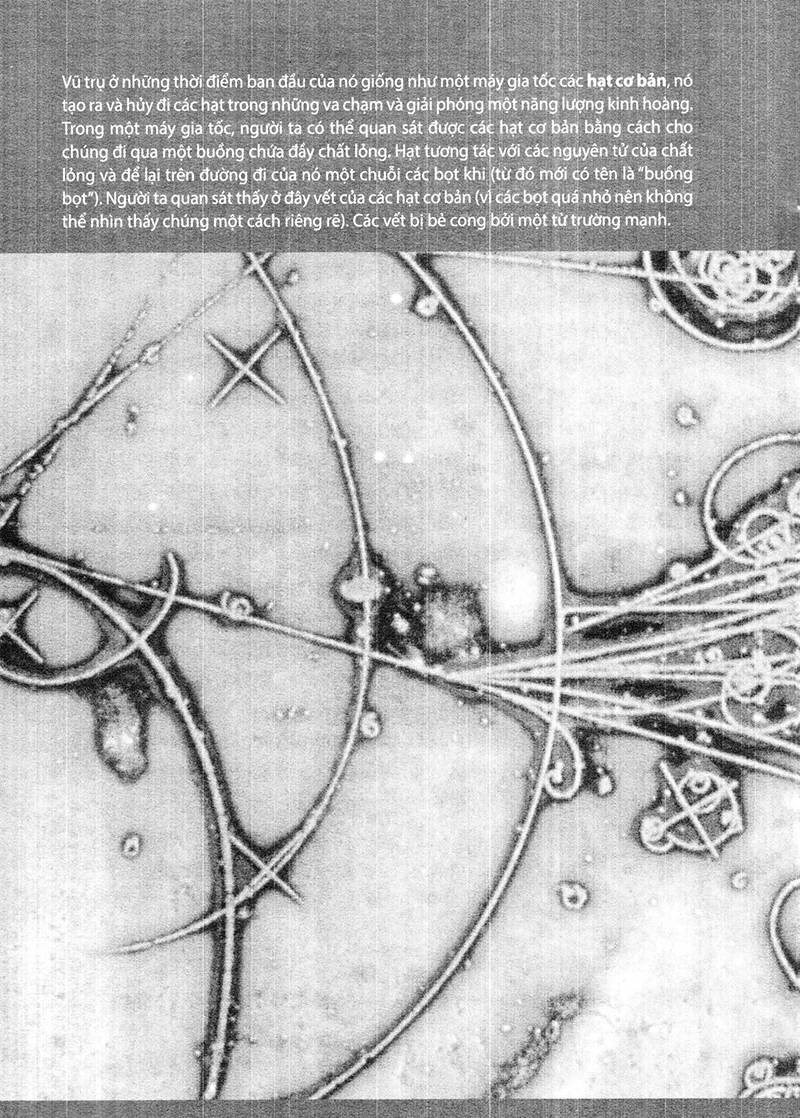 nguồn gốc - nỗi hoài niệm về những thuở ban đầu - Ảnh 4