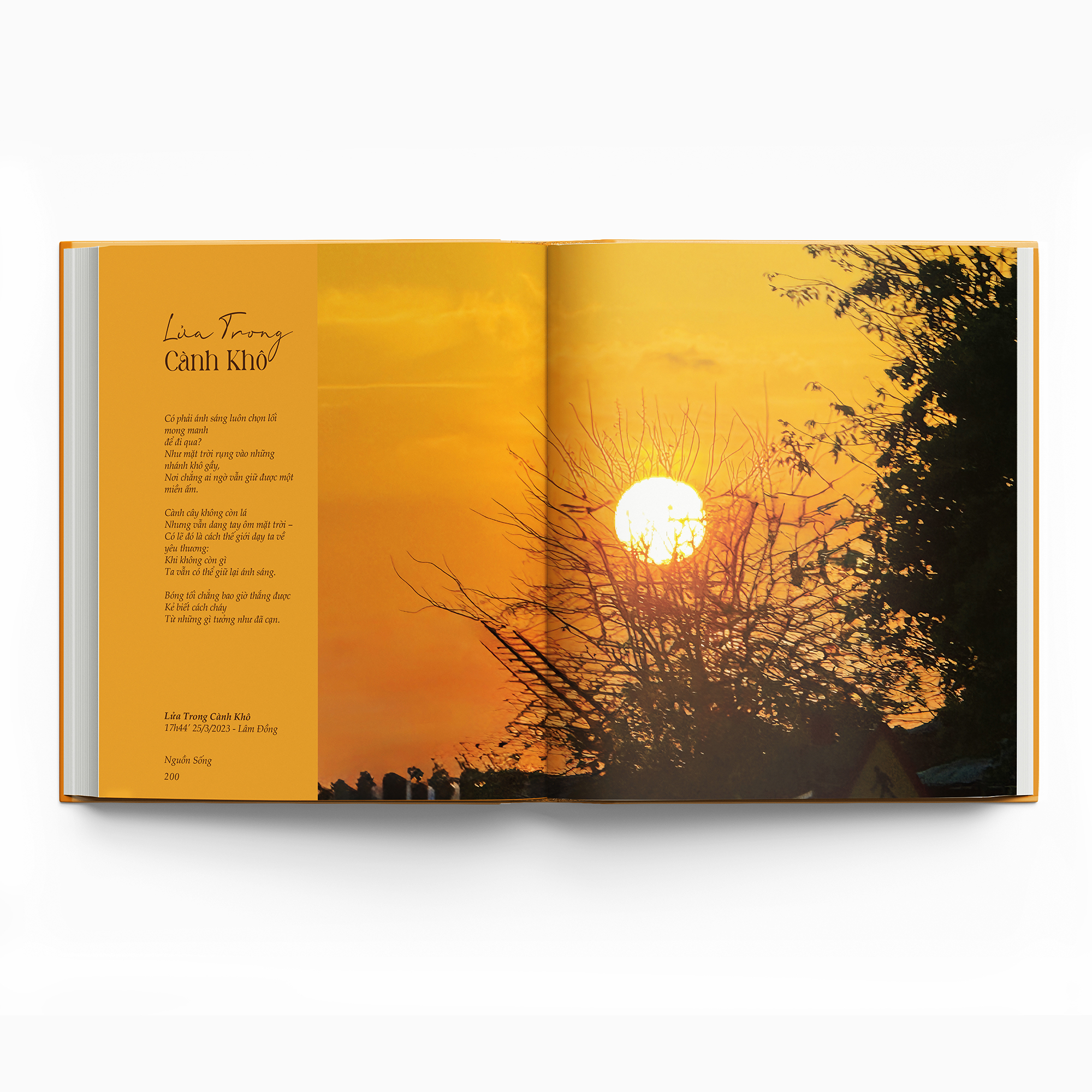 Nguồn Sống - Bìa Cứng - Ảnh 5