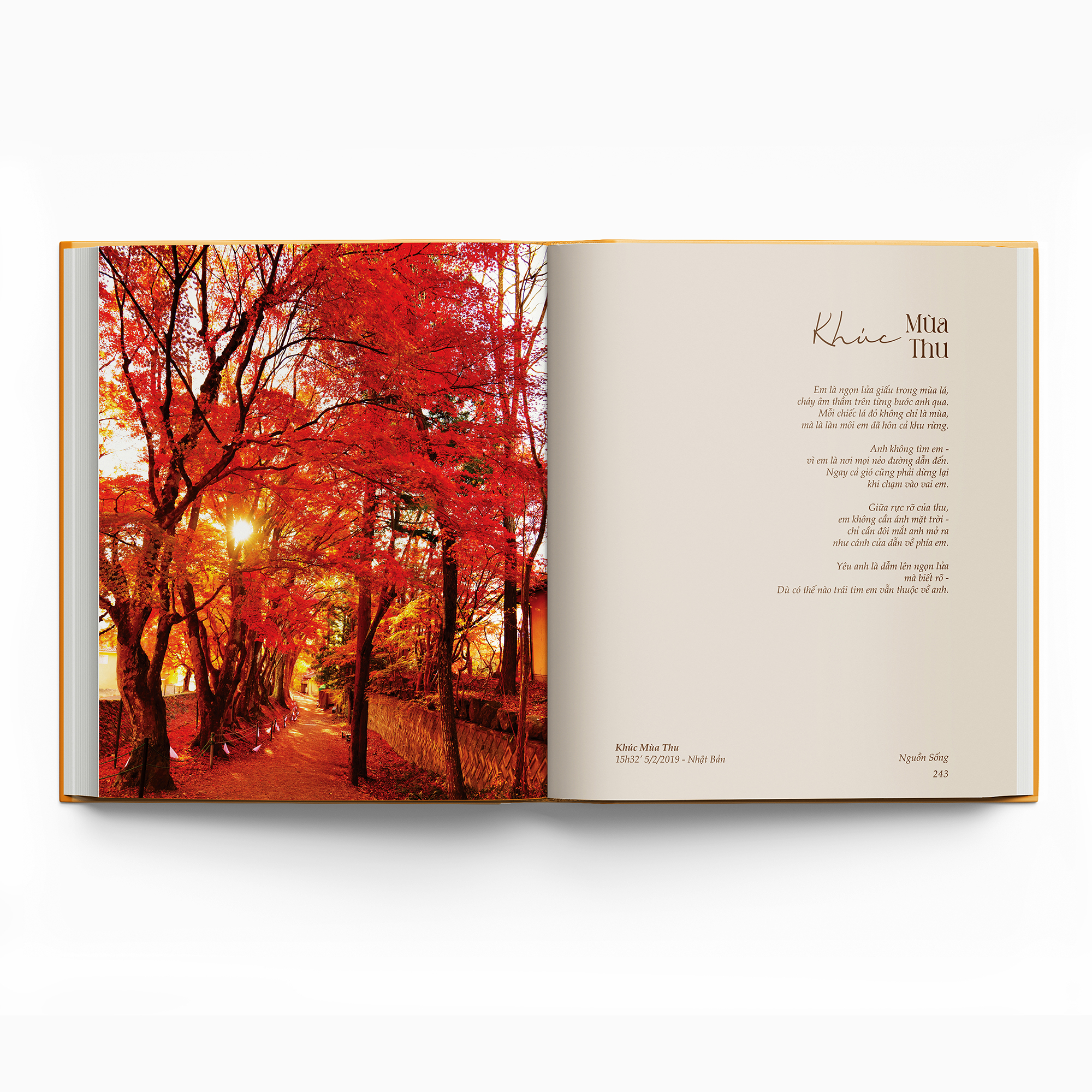 Nguồn Sống - Bìa Cứng - Ảnh 7