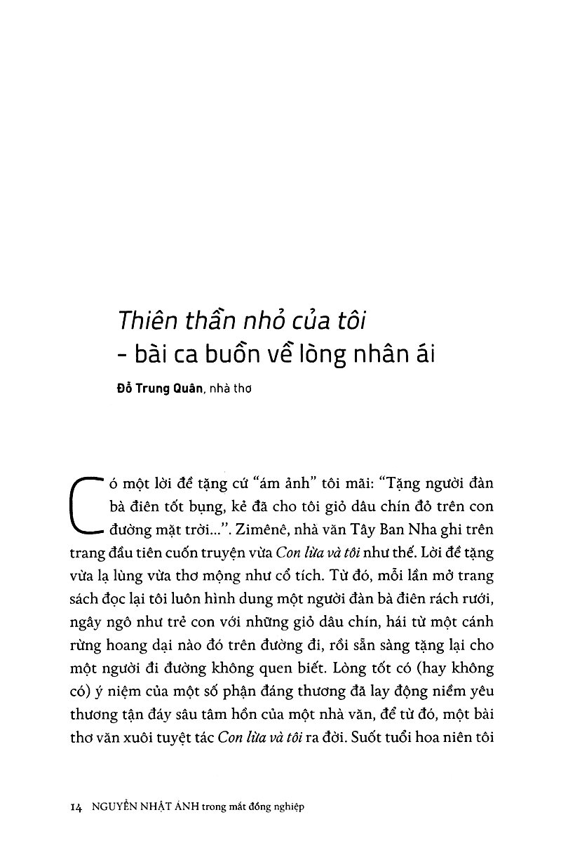 nguyễn nhật ánh trong mắt đồng nghiệp - Ảnh 10