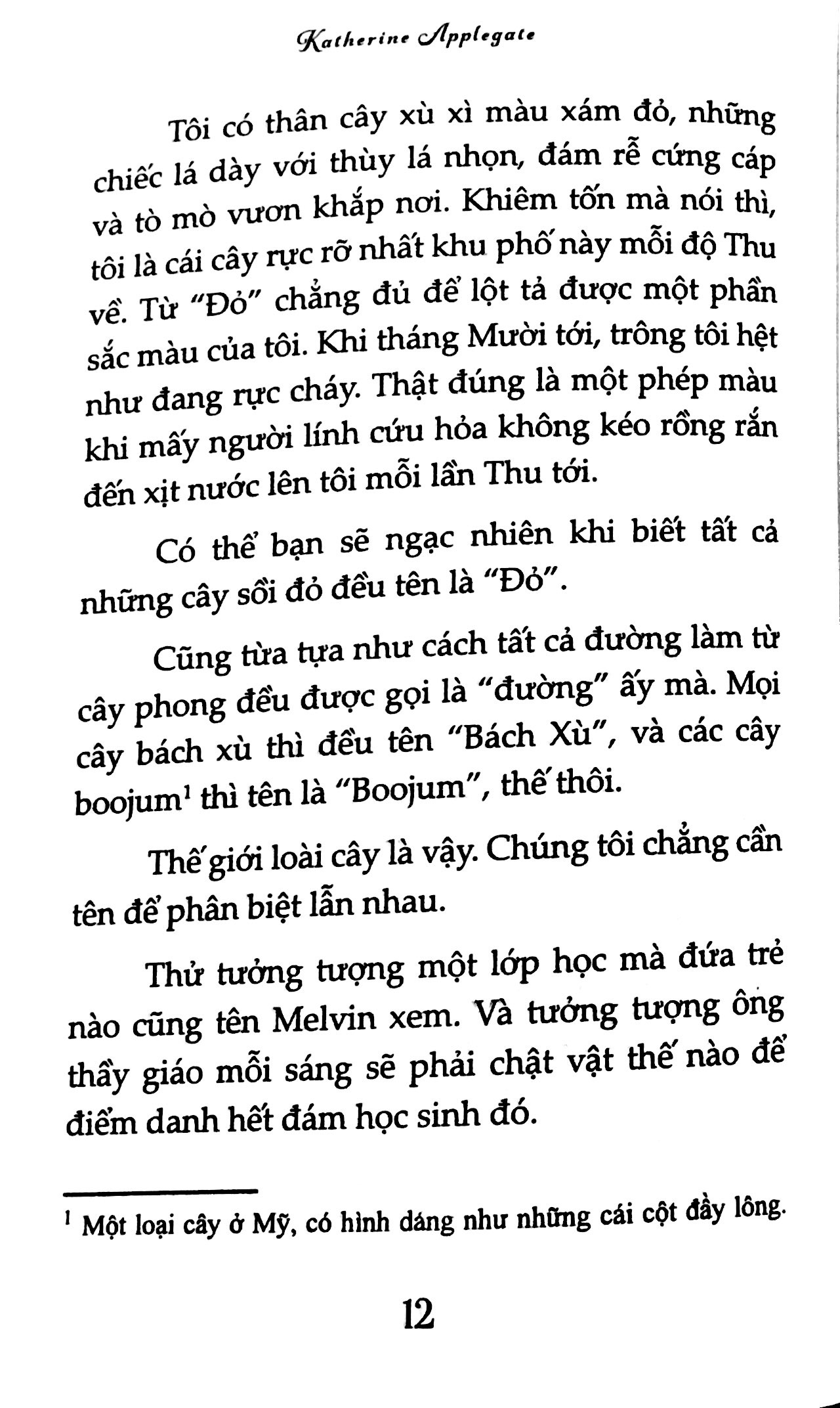 nguyện ước tháng năm(tái bản 2018) - dành cho 13+ - Ảnh 10