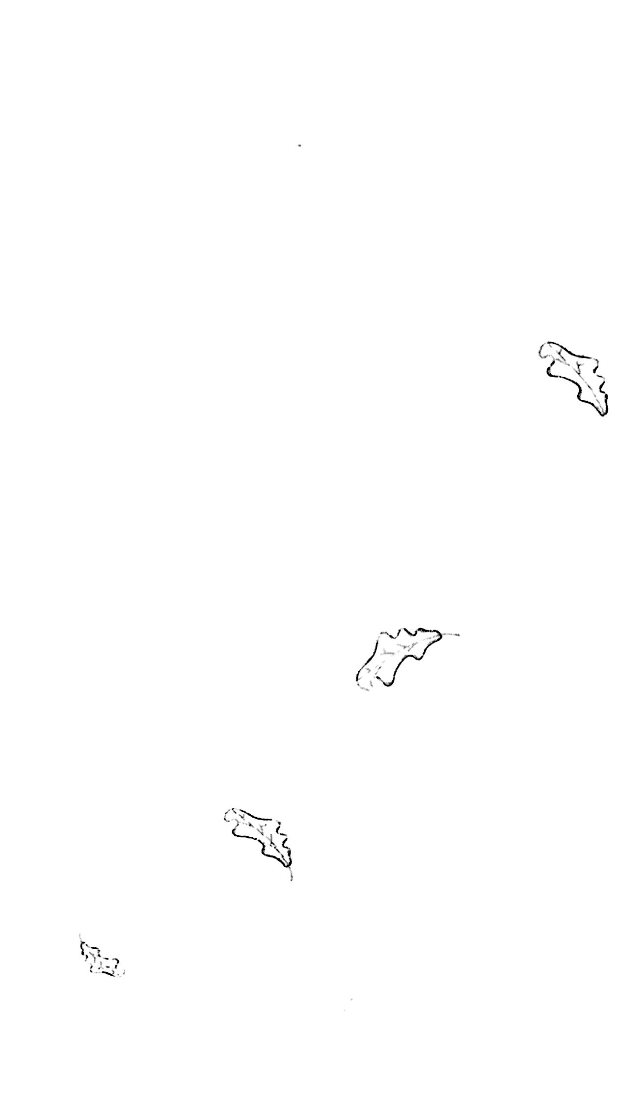 nguyện ước tháng năm(tái bản 2018) - dành cho 13+ - Ảnh 12