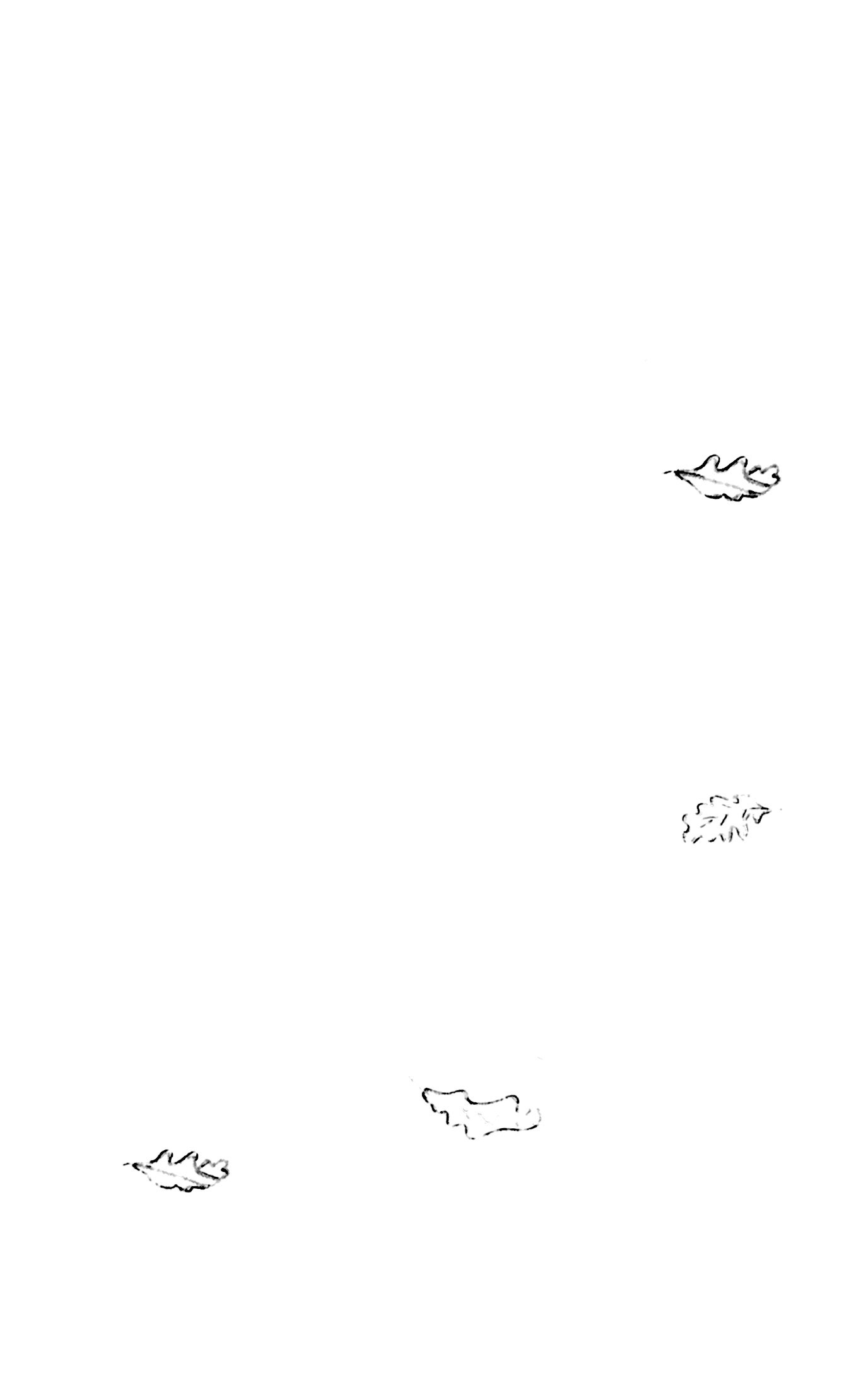 nguyện ước tháng năm(tái bản 2018) - dành cho 13+ - Ảnh 8