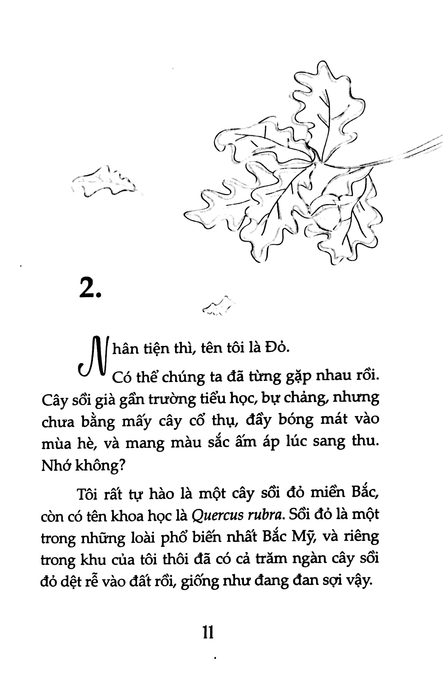 nguyện ước tháng năm(tái bản 2018) - dành cho 13+ - Ảnh 9