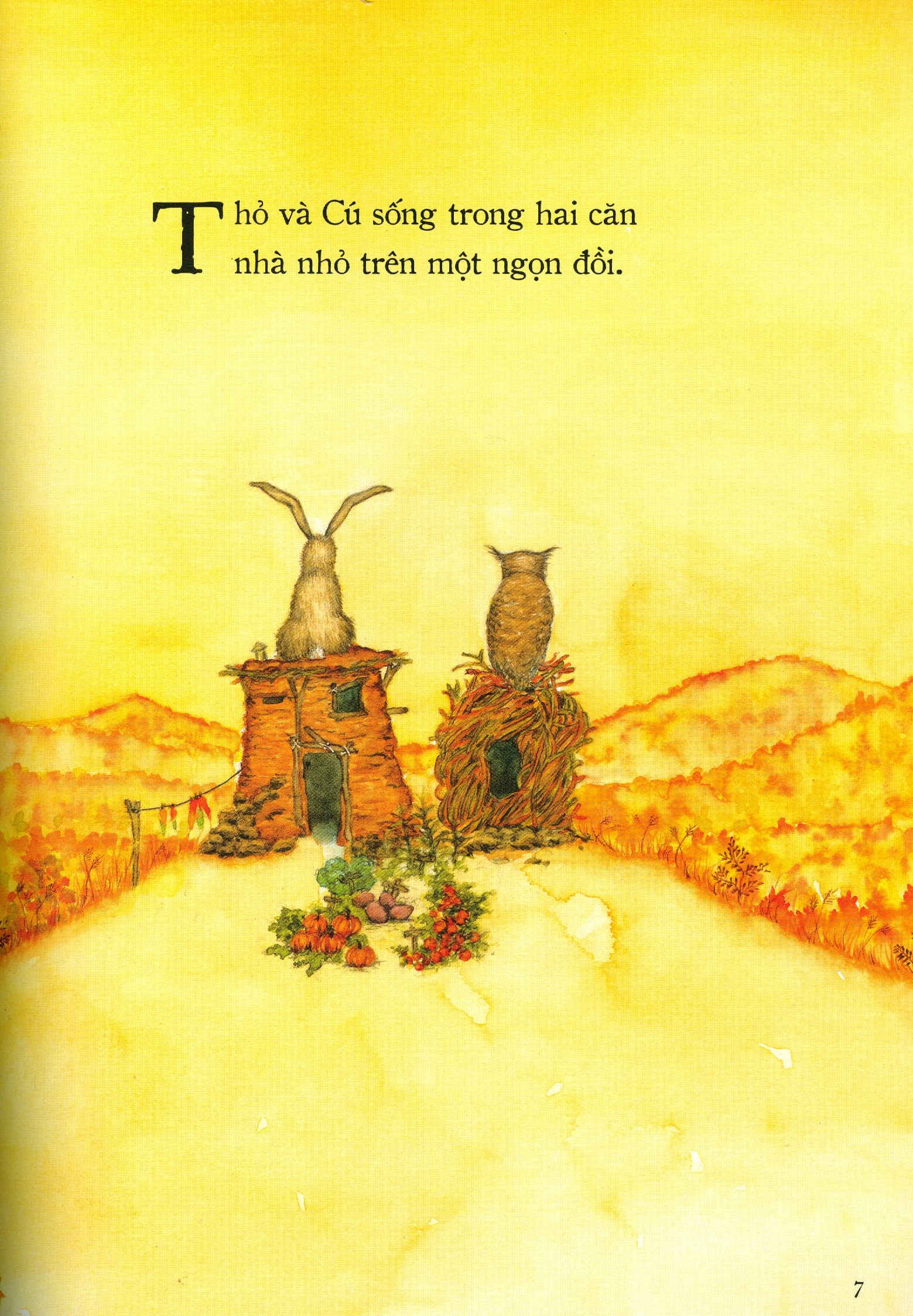 nhà của ai cao hơn? - Ảnh 3