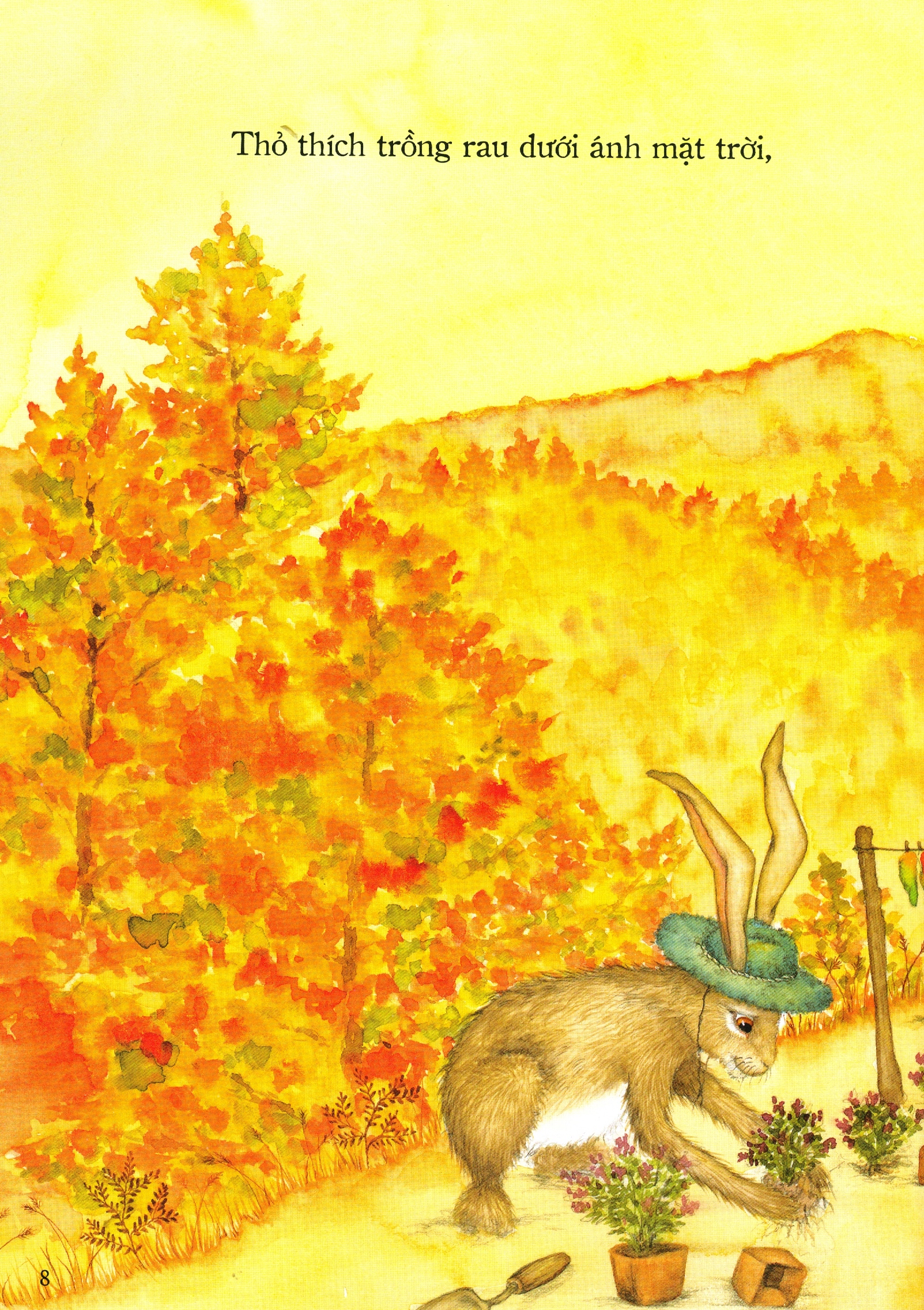 nhà của ai cao hơn? - Ảnh 4