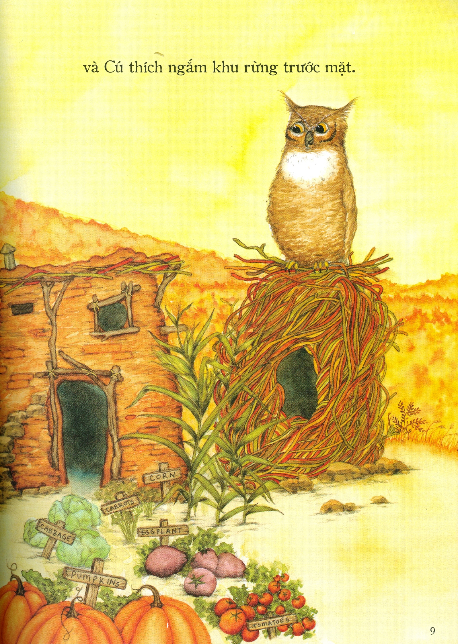 nhà của ai cao hơn? - Ảnh 5