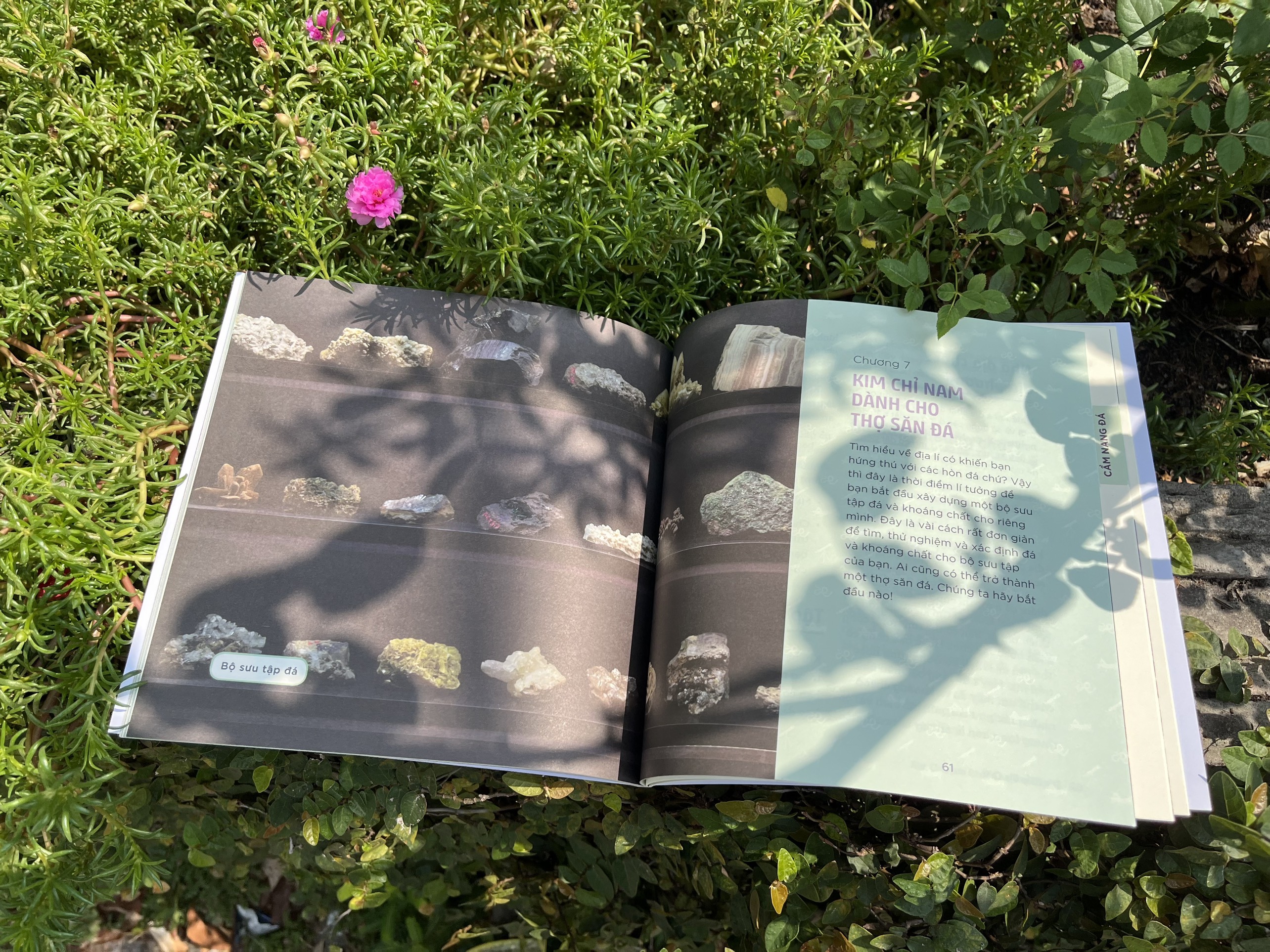 nhà khoa học nhí - tìm hiểu địa chất - đá, khoáng chất và mặt đất dưới chân ta - Ảnh 3