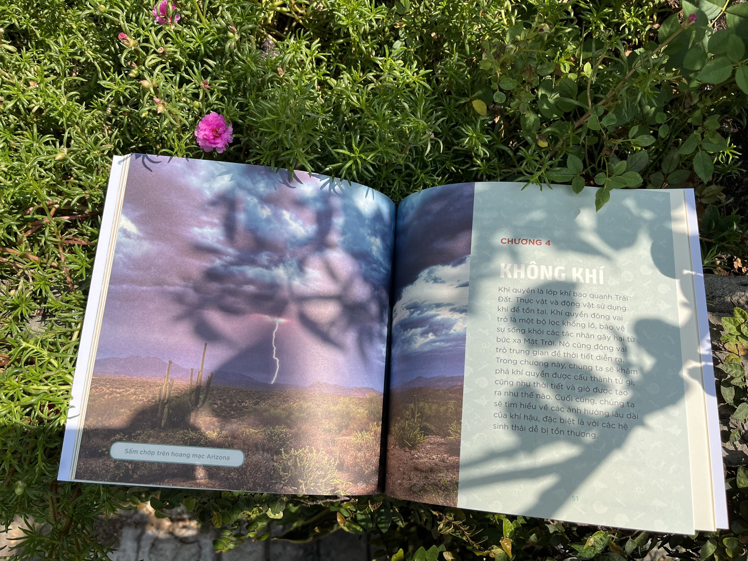 nhà khoa học nhí - trái đất của chúng ta - nước, không khí và sự sống trong sinh quyển - Ảnh 3