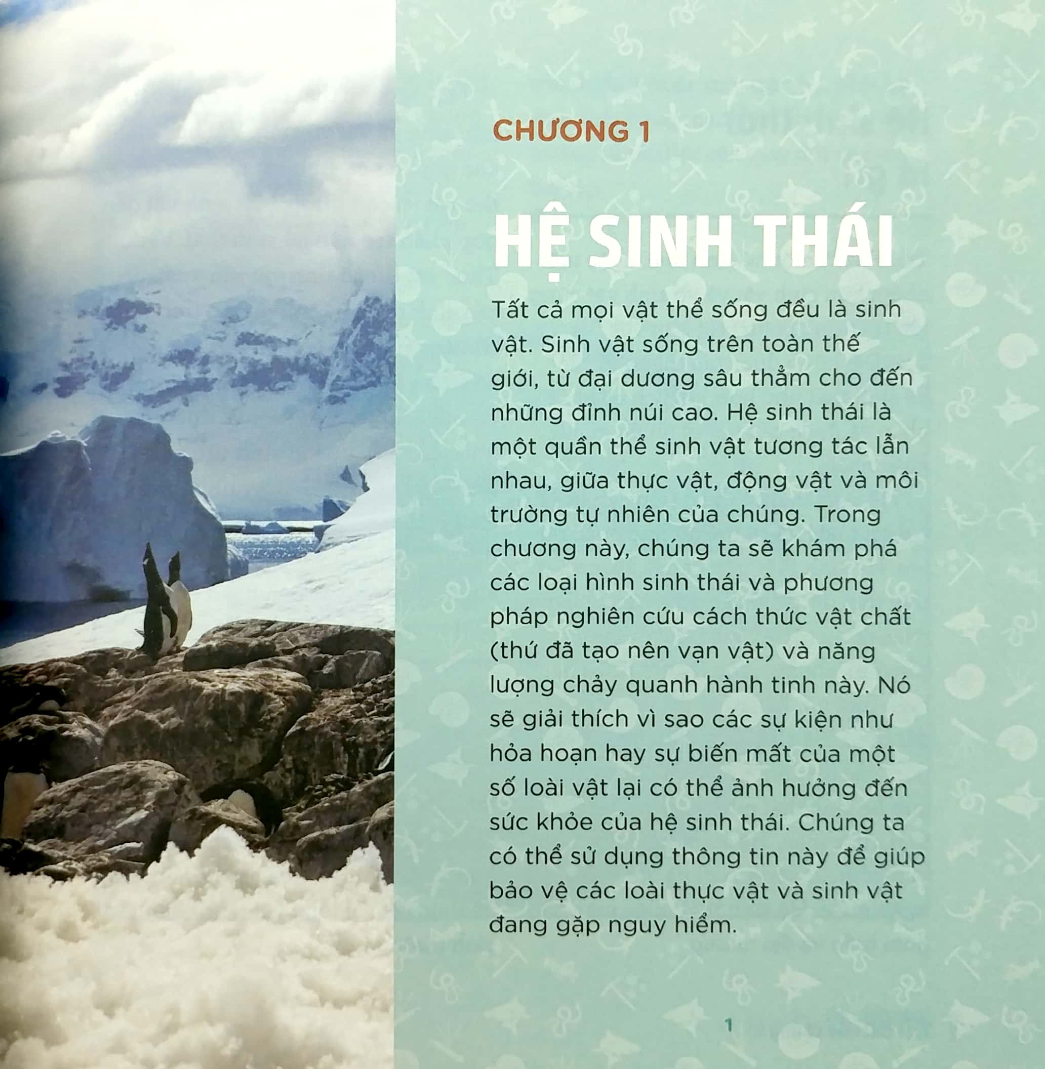 nhà khoa học nhí - trái đất của chúng ta - nước, không khí và sự sống trong sinh quyển - Ảnh 8