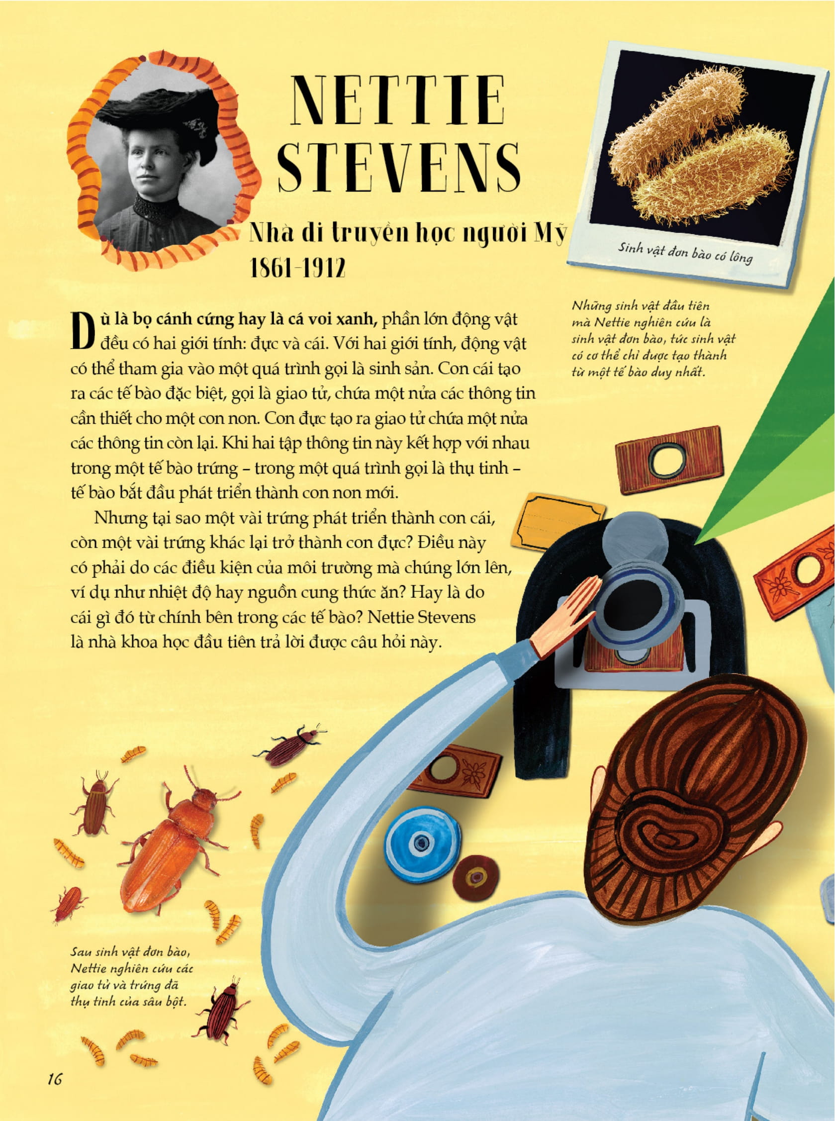 nhà khoa học - những câu chuyện truyền cảm hứng từ những nhà khoa học lỗi lạc nhất thế giới - bìa cứng - Ảnh 14