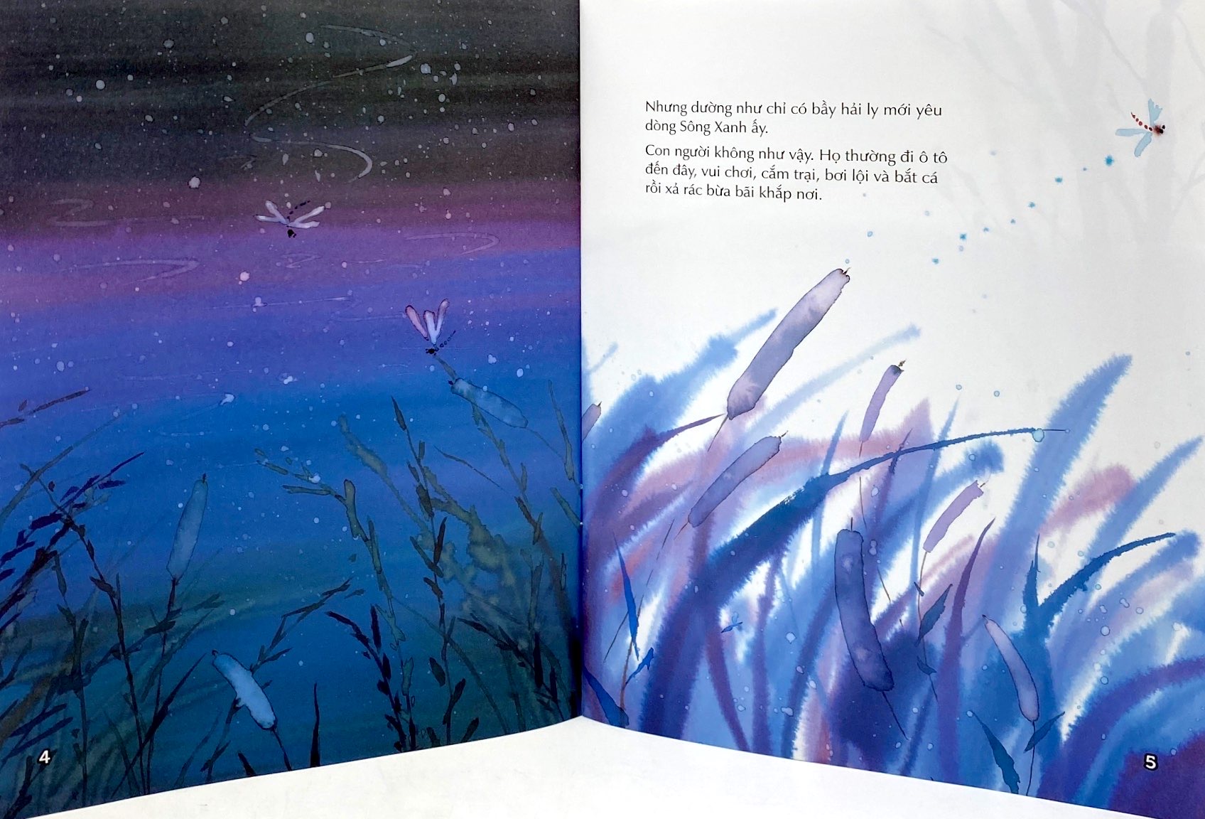 nhà lãnh đạo nhí - hải ly nhỏ bên dòng sông xanh - Ảnh 4