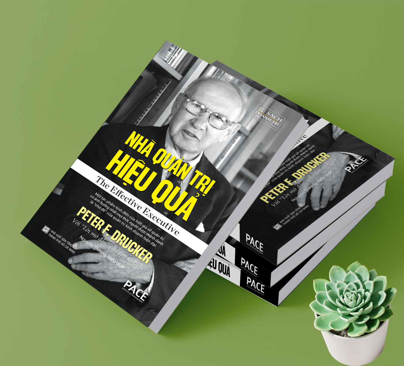 nhà quản trị hiệu quả - the effective executive - Ảnh 3