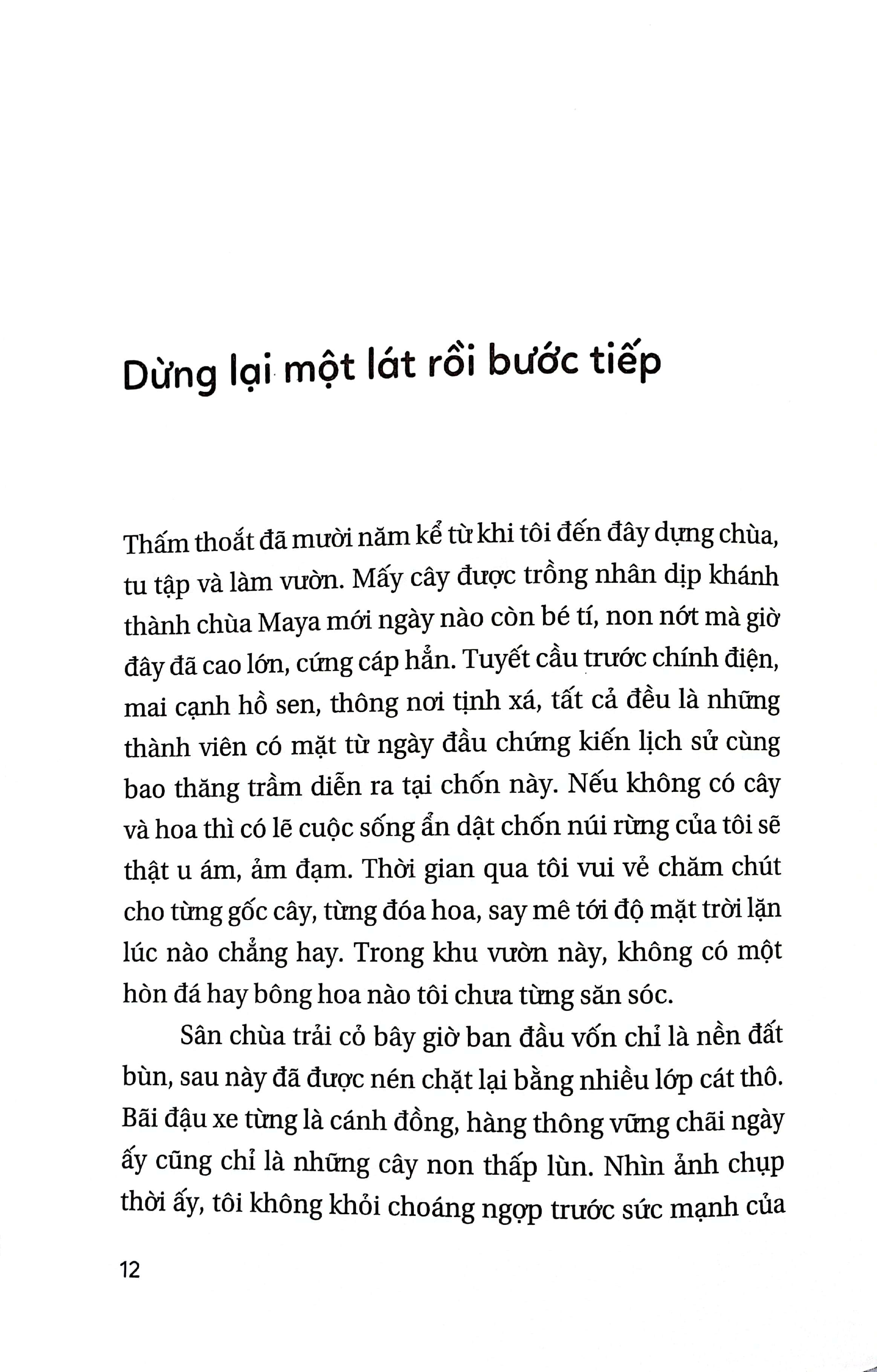 nhà sư và khu vườn - Ảnh 5