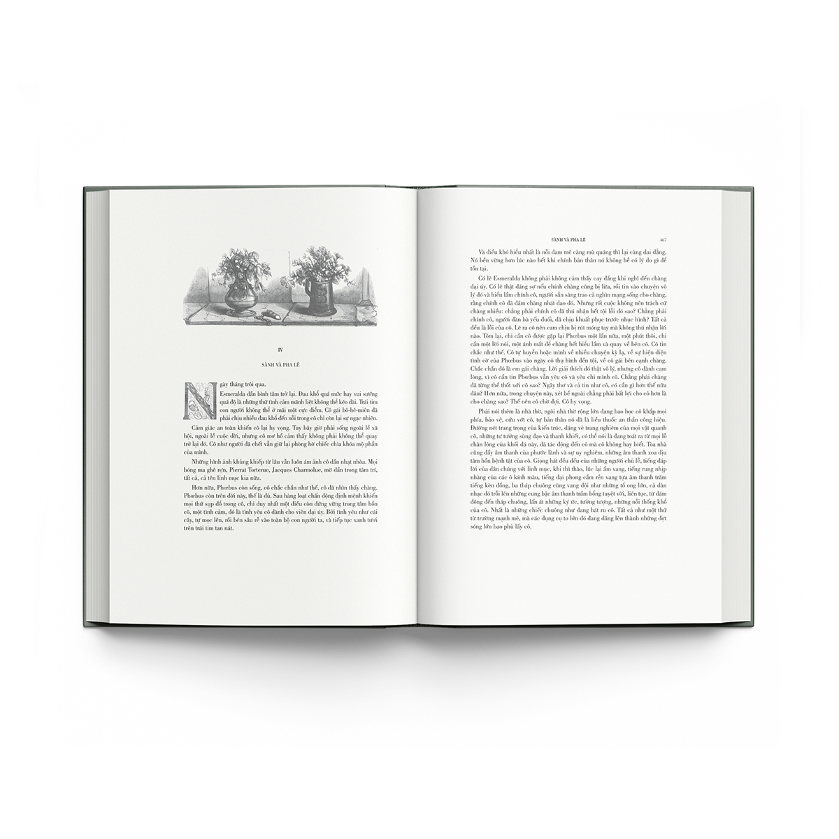 nhà thờ đức bà paris - Ảnh 7