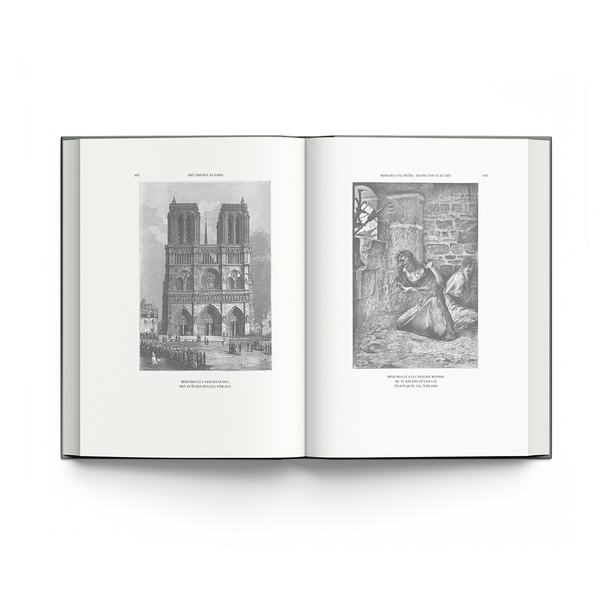 nhà thờ đức bà paris - Ảnh 8