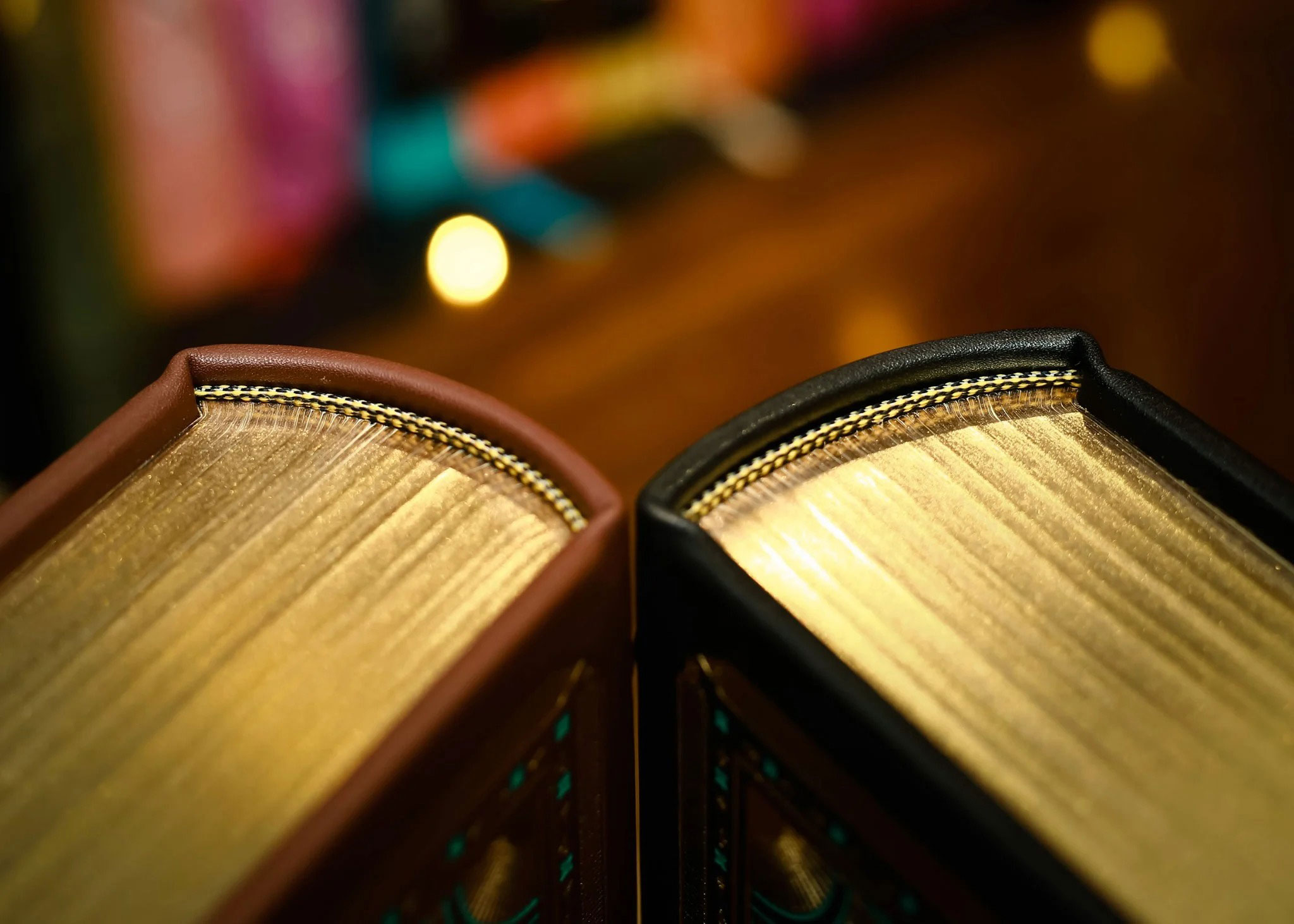 nhà thờ đức bà paris - ấn bản giới hạn - bìa da microfiber (mẫu bìa giao ngẫu nhiên) - Ảnh 12