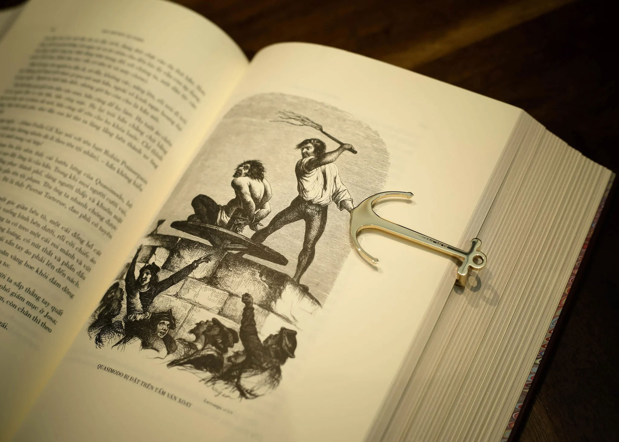 nhà thờ đức bà paris - ấn bản giới hạn - bìa da microfiber (mẫu bìa giao ngẫu nhiên) - Ảnh 17