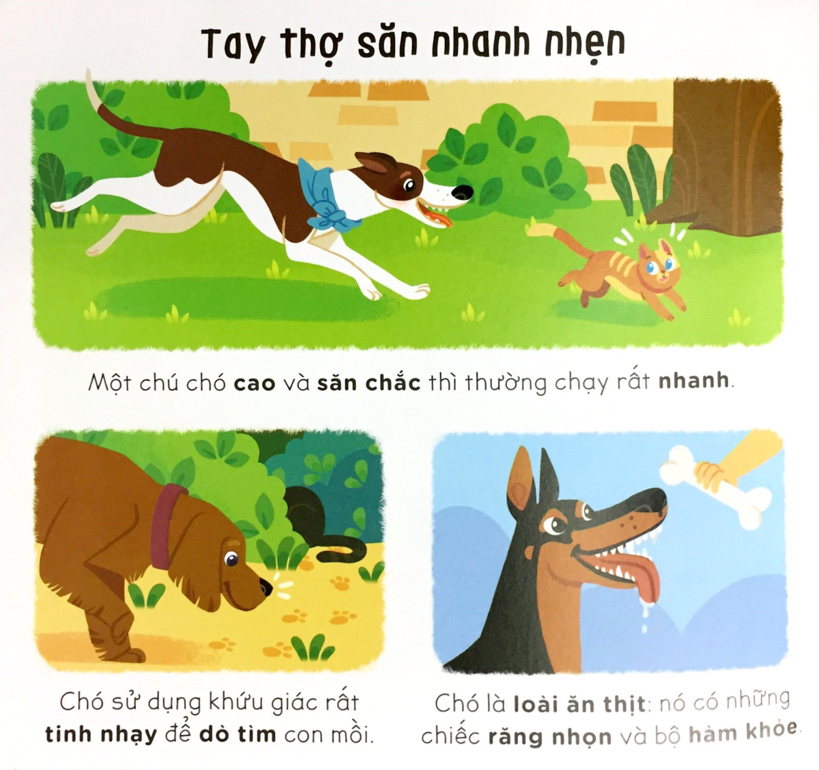 nhà thông thái nhỏ larousse - em muốn nuôi chó - Ảnh 5