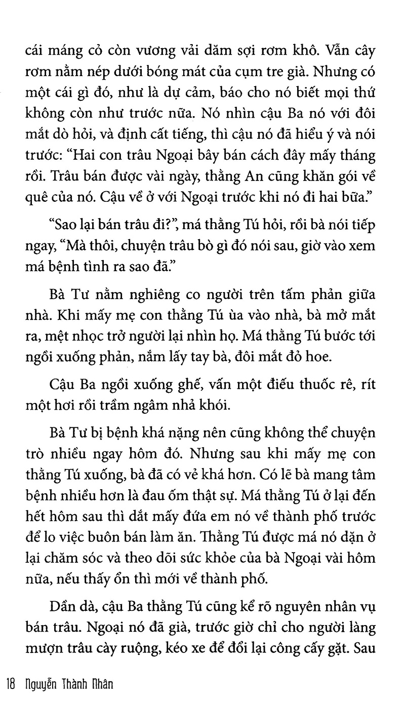 nhà văn già và em mọi nhỏ - Ảnh 16