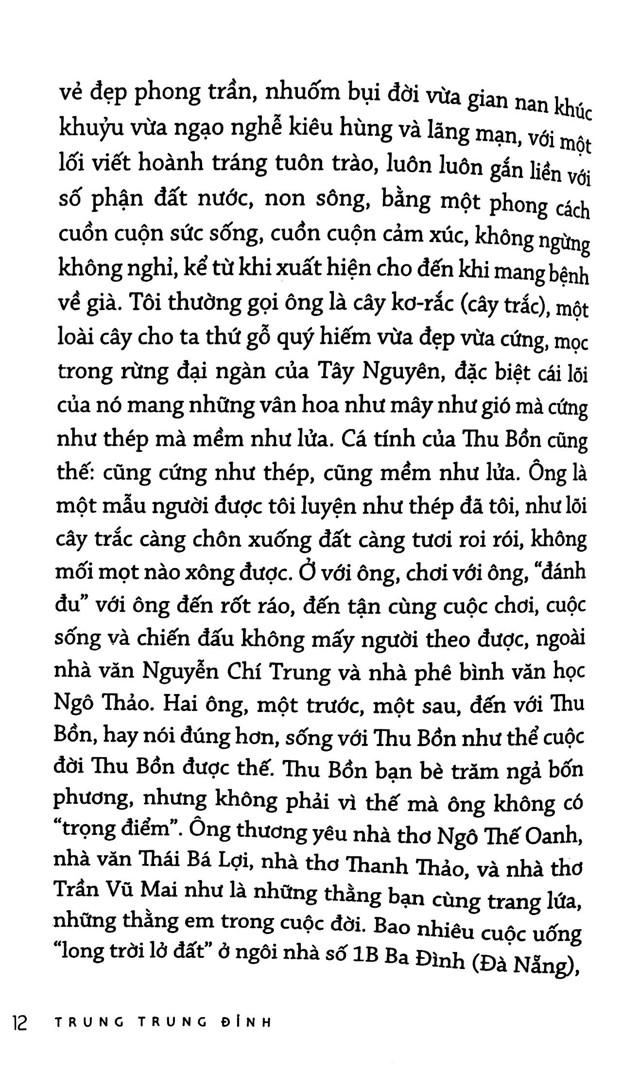 nhà văn thì phải biết đùa - trung trung đỉnh - Ảnh 8