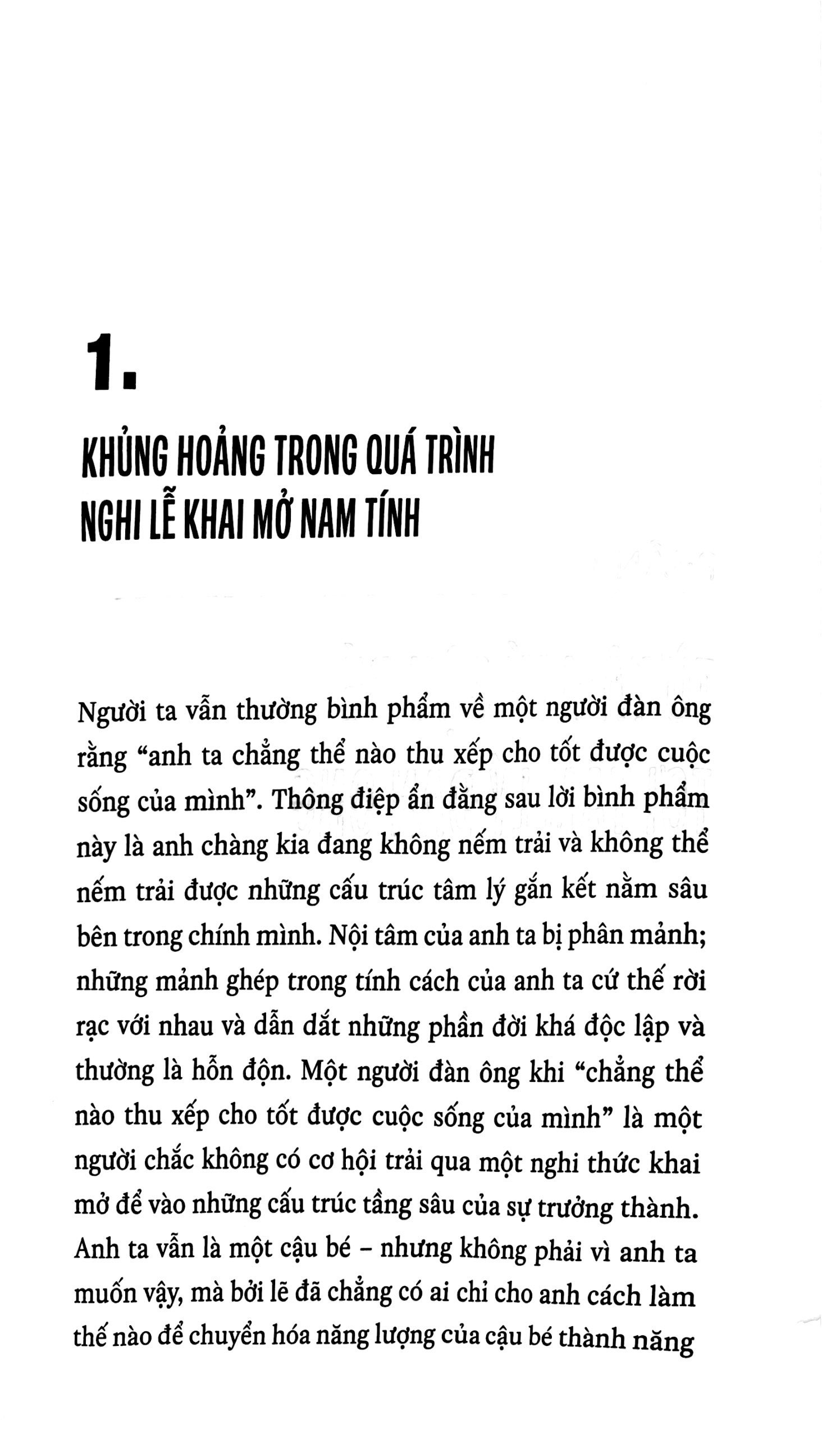 Nhà Vua, Chiến Binh, Pháp Sư, Người Tình - Tài Khám Phá Những Nguyên Mẫu Nam Tính Trưởng Thành - Ảnh 7