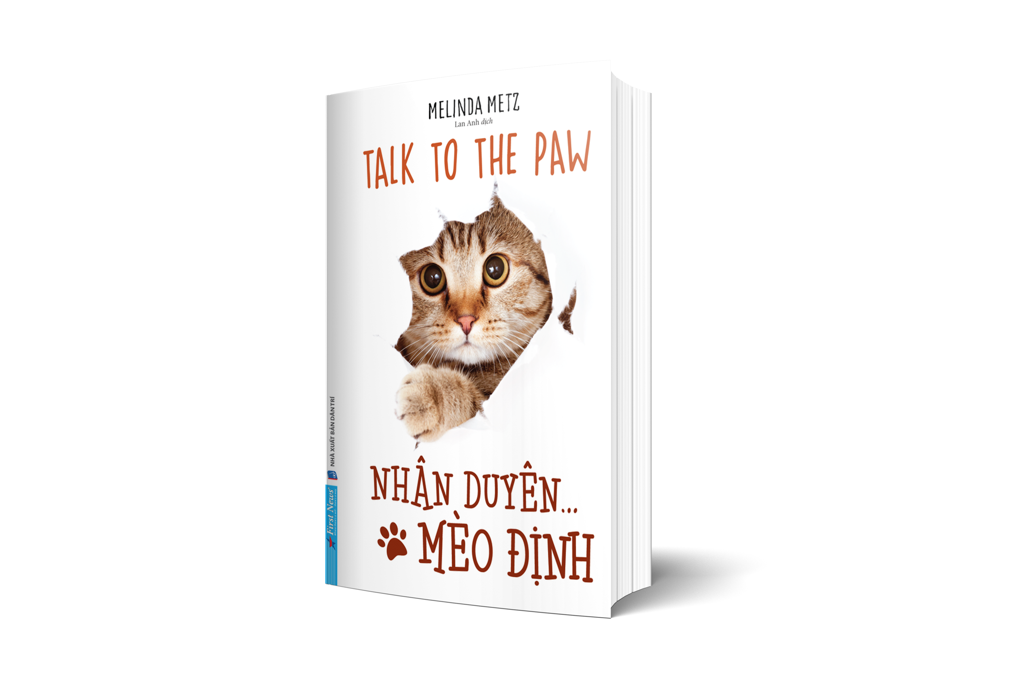 nhân duyên ... mèo định - Ảnh 12