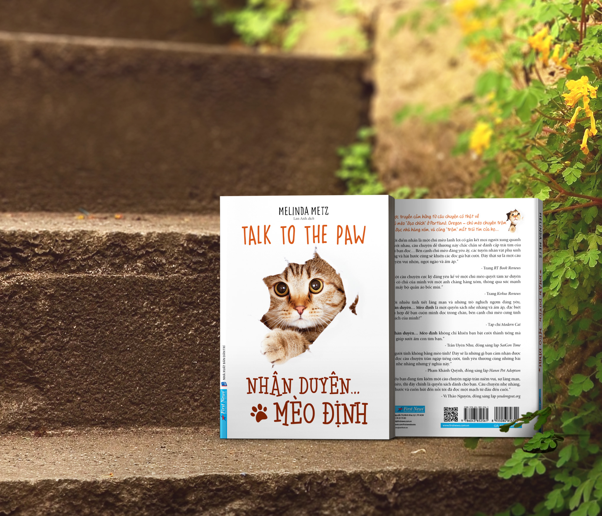 nhân duyên ... mèo định - Ảnh 13