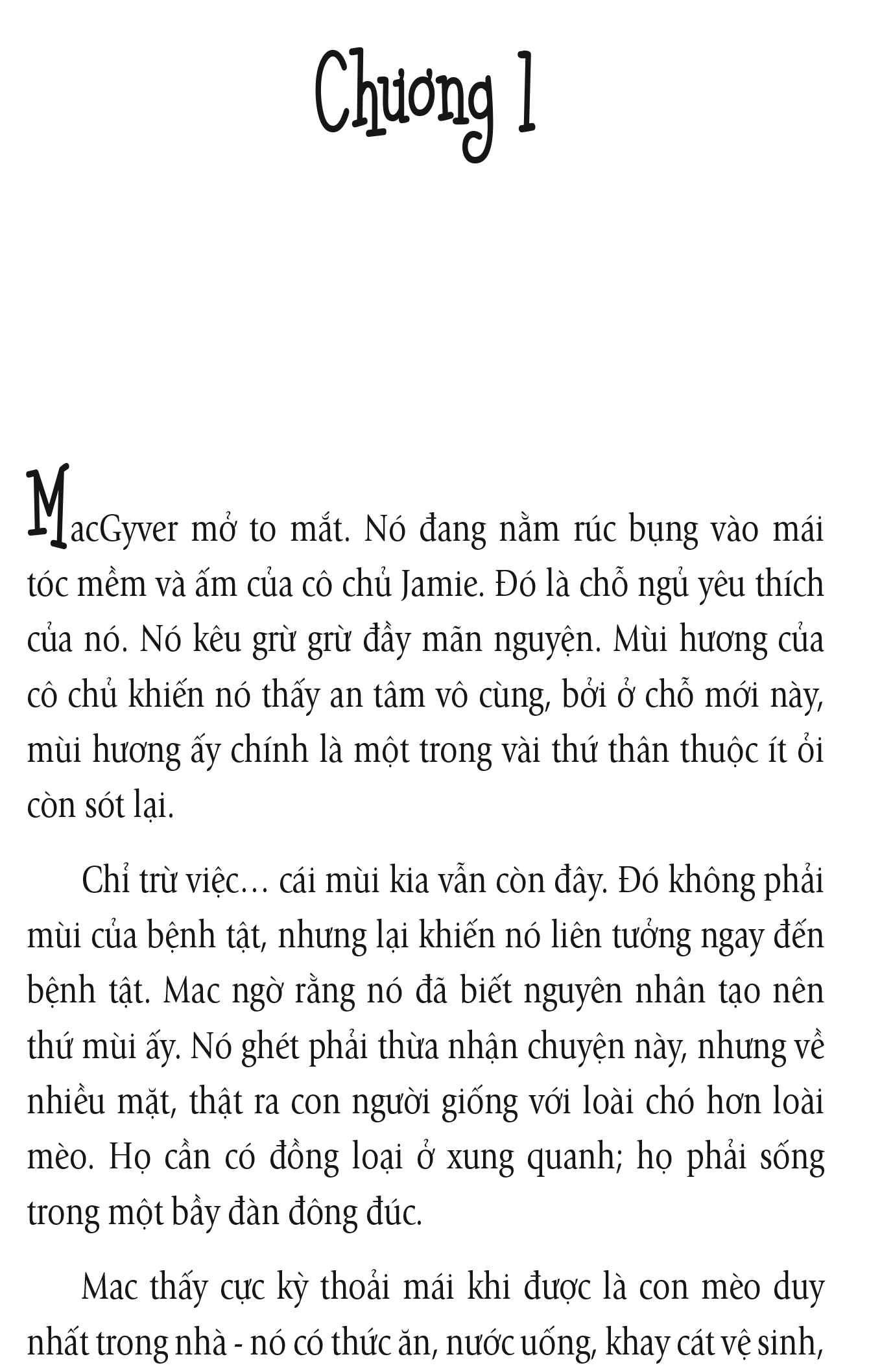 nhân duyên ... mèo định - Ảnh 3