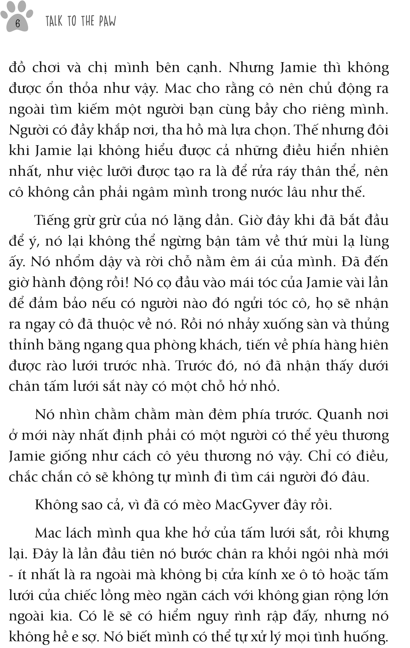 nhân duyên ... mèo định - Ảnh 4