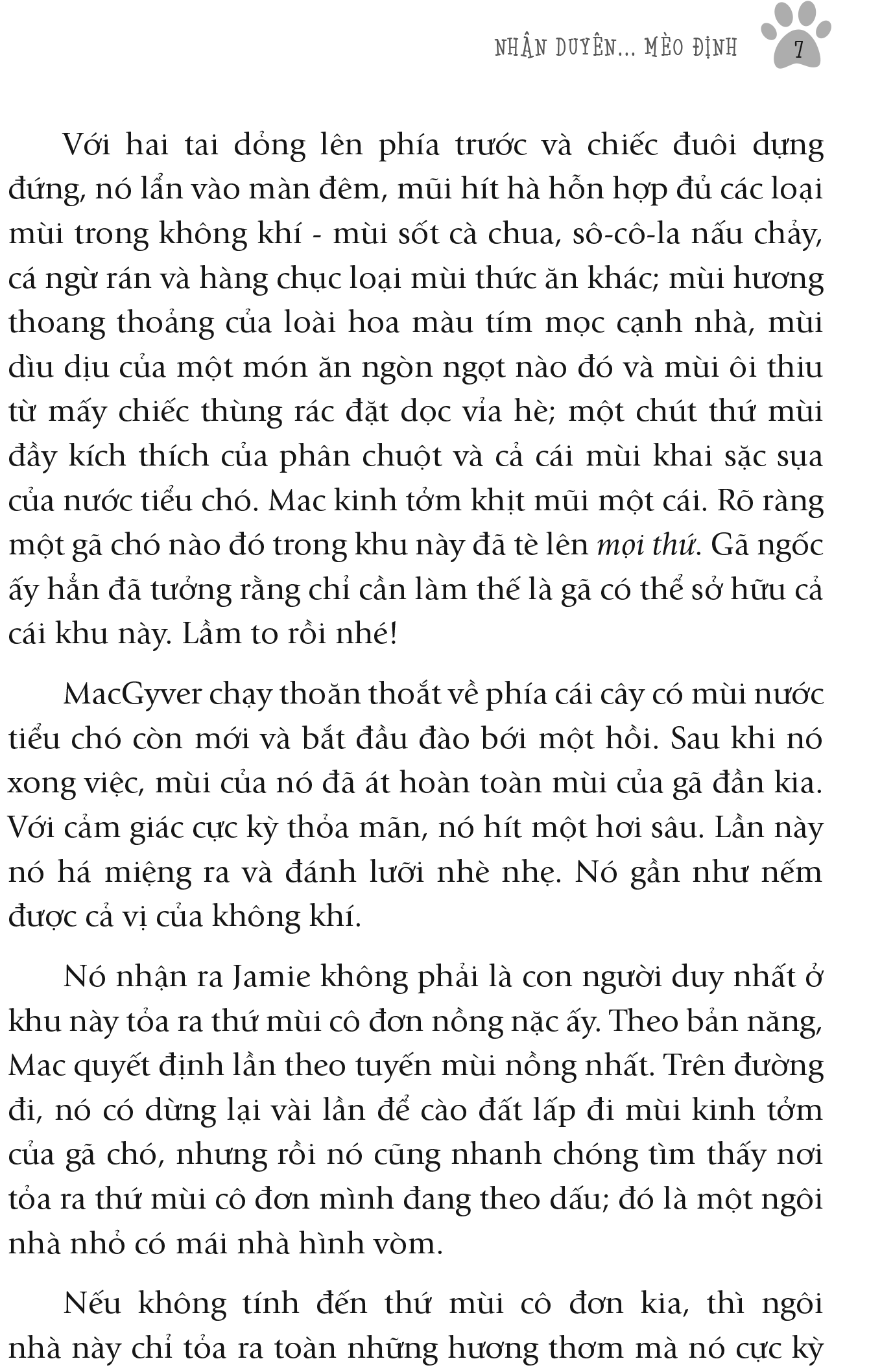 nhân duyên ... mèo định - Ảnh 5